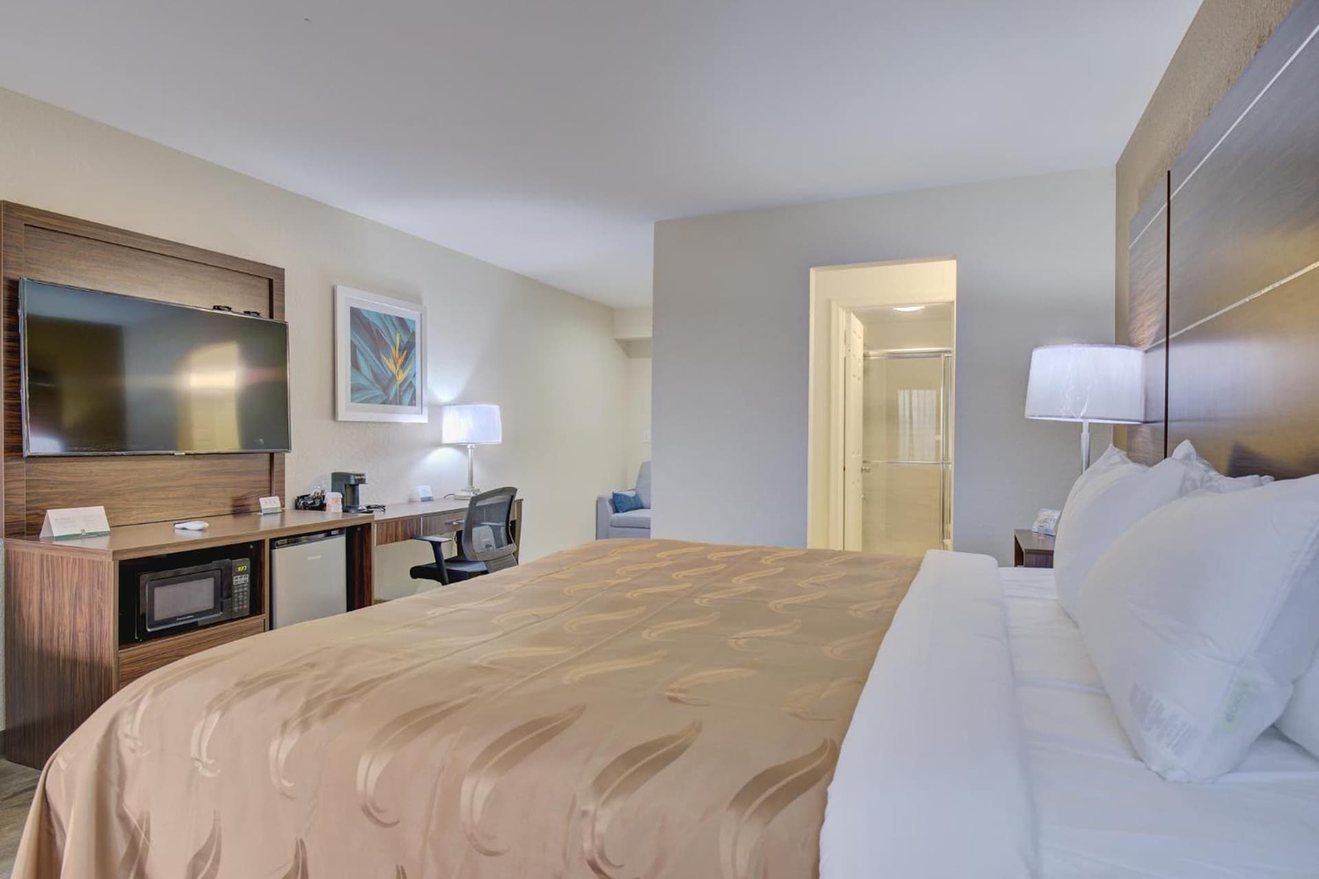 Quality Inn & Suites gallery photo in Suffolk, VA — image 15