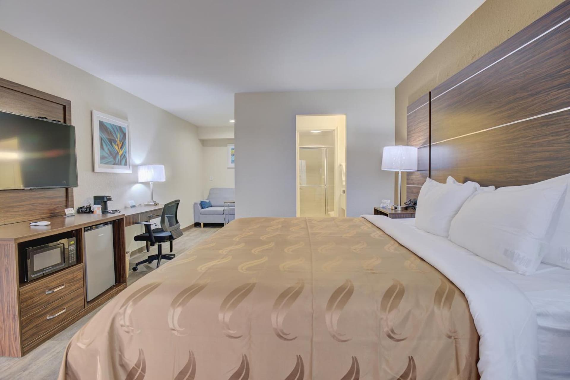 Quality Inn & Suites gallery photo in Suffolk, VA — image 16
