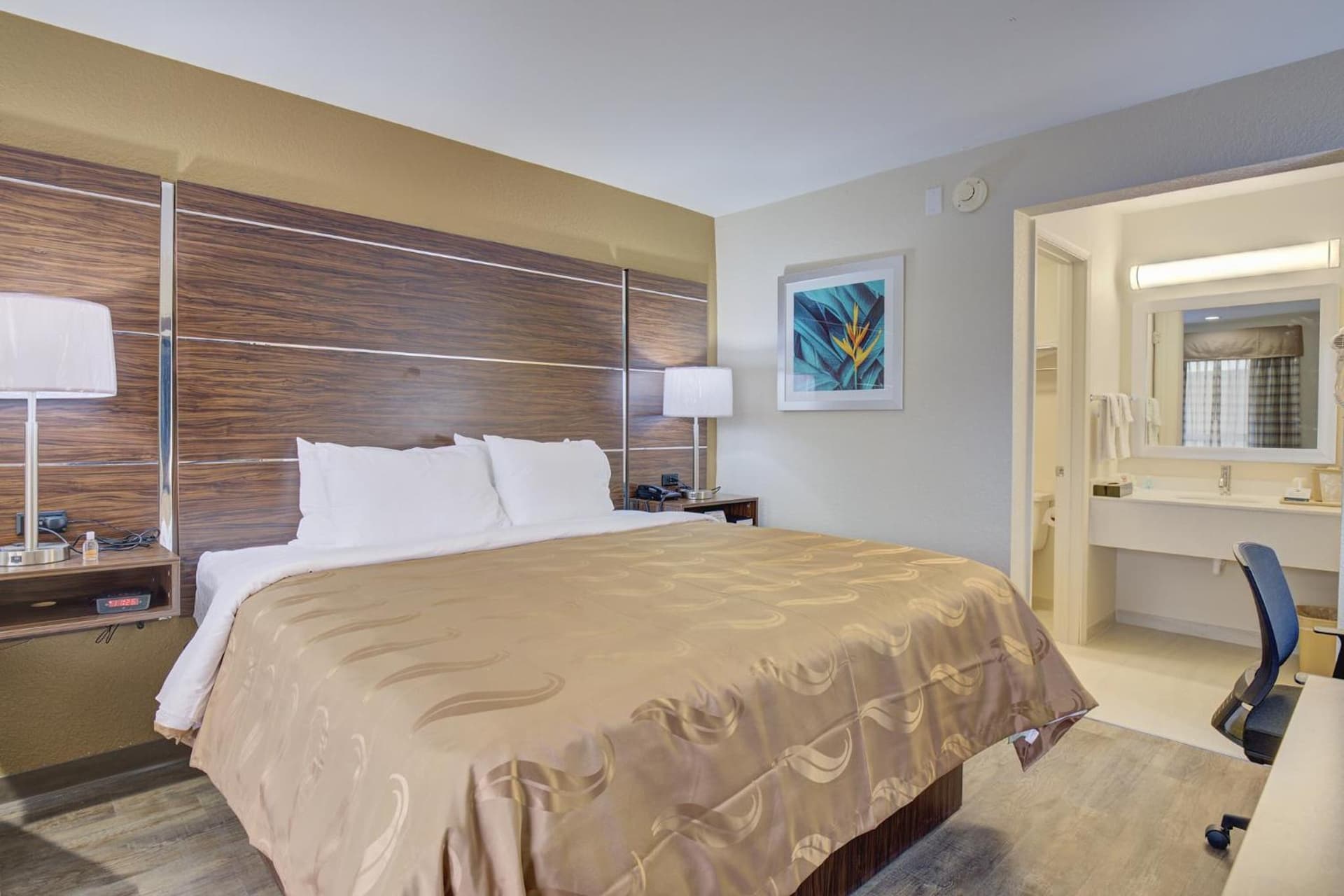 Quality Inn & Suites property views in Suffolk, VA — gallery photo 3
