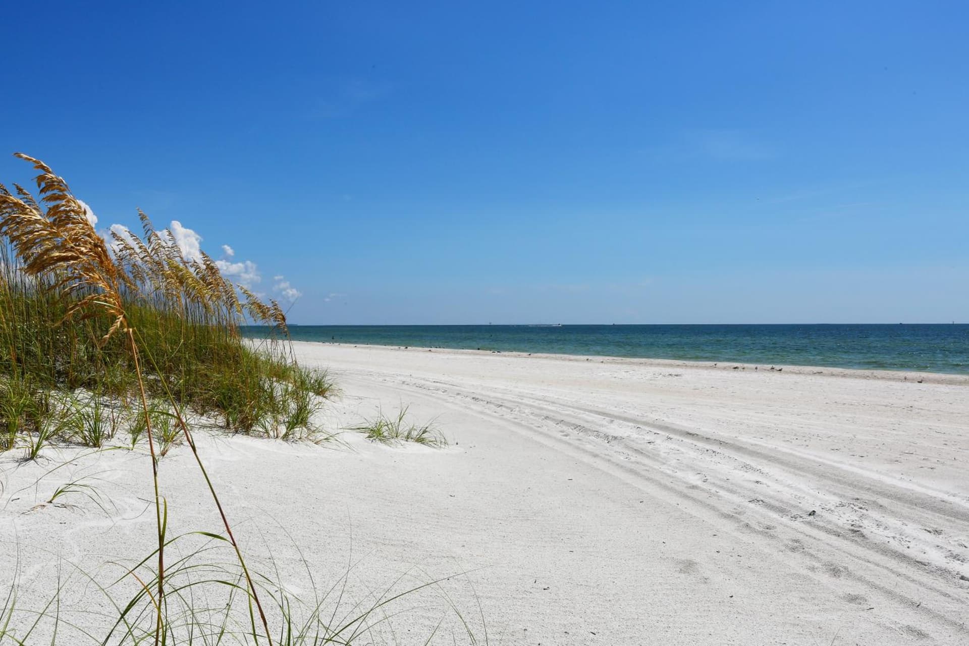 Barefoot Beach Club gallery photo in St Pete Beach, FL — image 15