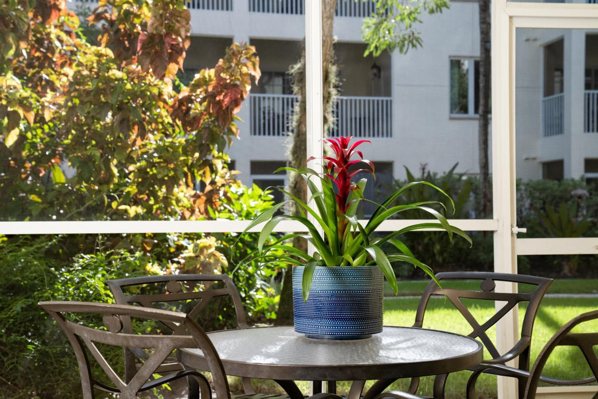 Bellasera Resort gallery photo in Naples, FL — image 25