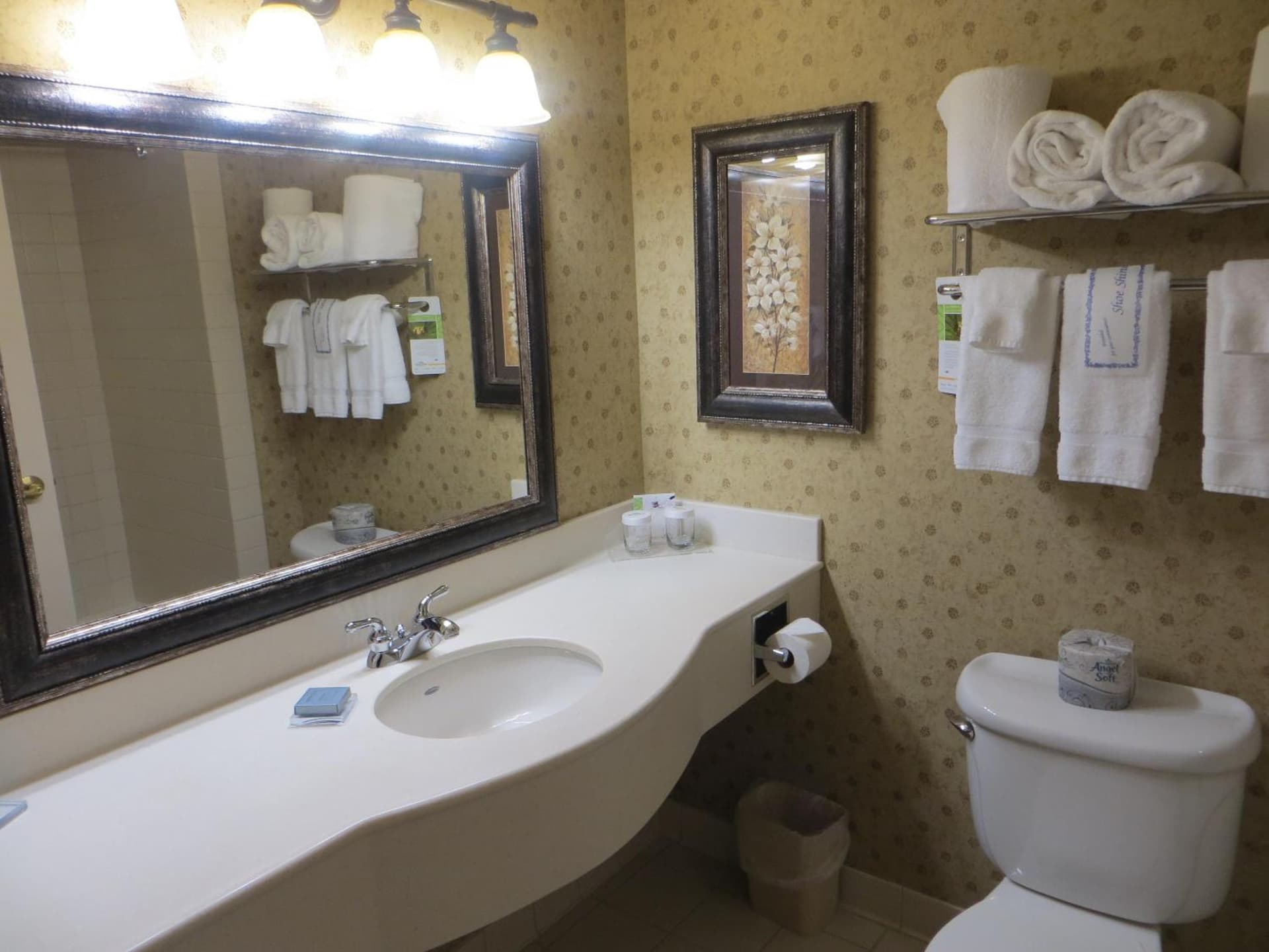 Wingate by Wyndham Peoria - Complimentary Area Shuttle gallery photo in Peoria, IL — image 17