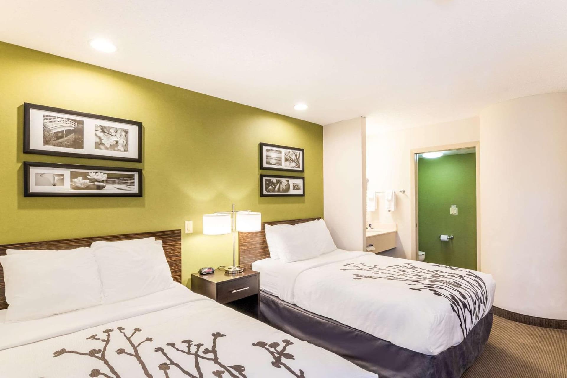 Sleep Inn & Suites Niantic North gallery photo in Niantic, CT — image 24
