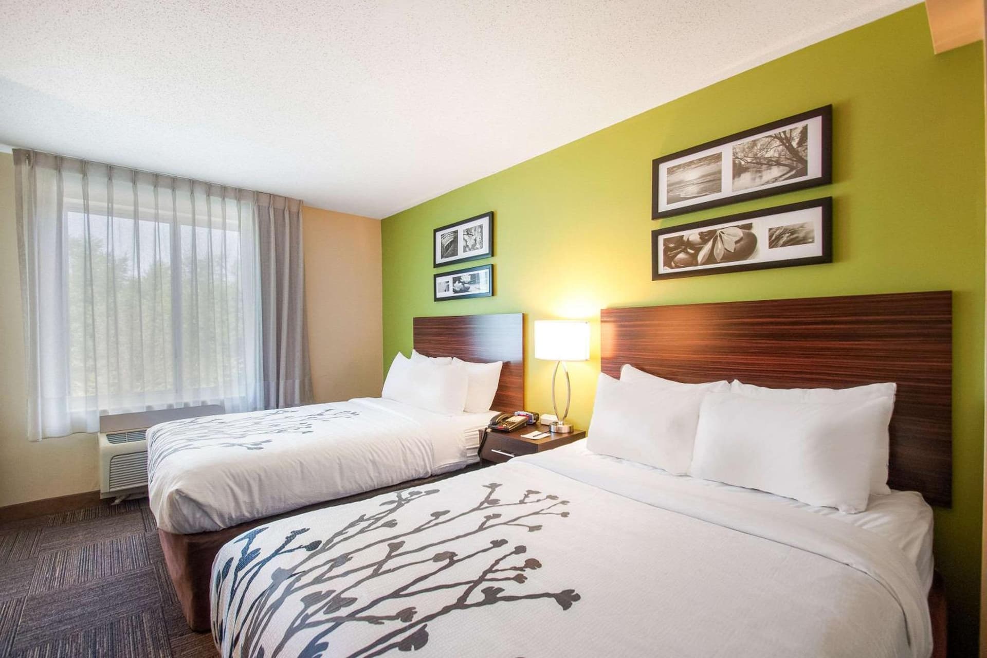Sleep Inn & Suites Dover University Area gallery photo in Dover, DE — image 9