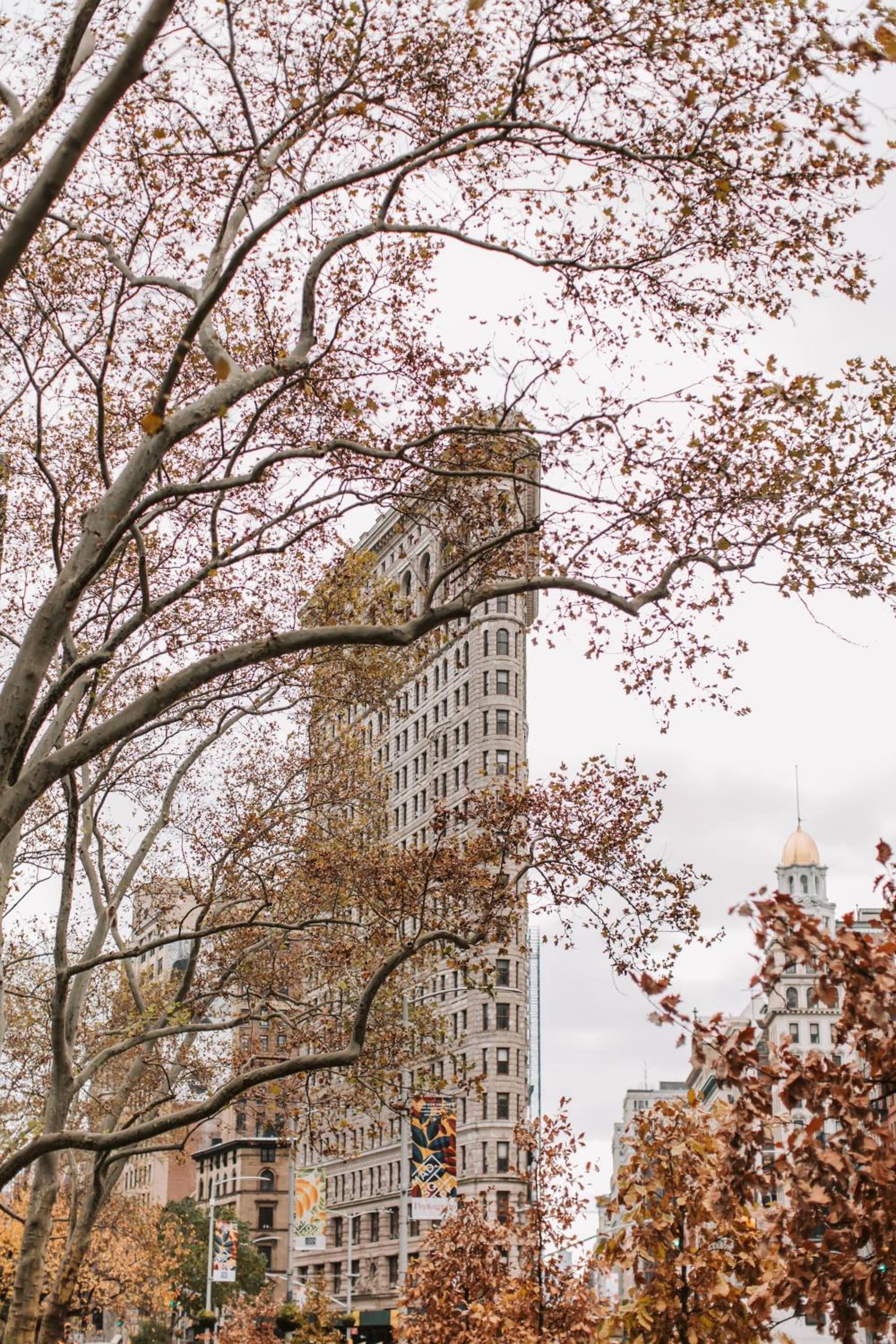 Hyatt Place New York Chelsea gallery photo in New York, NY — image 98