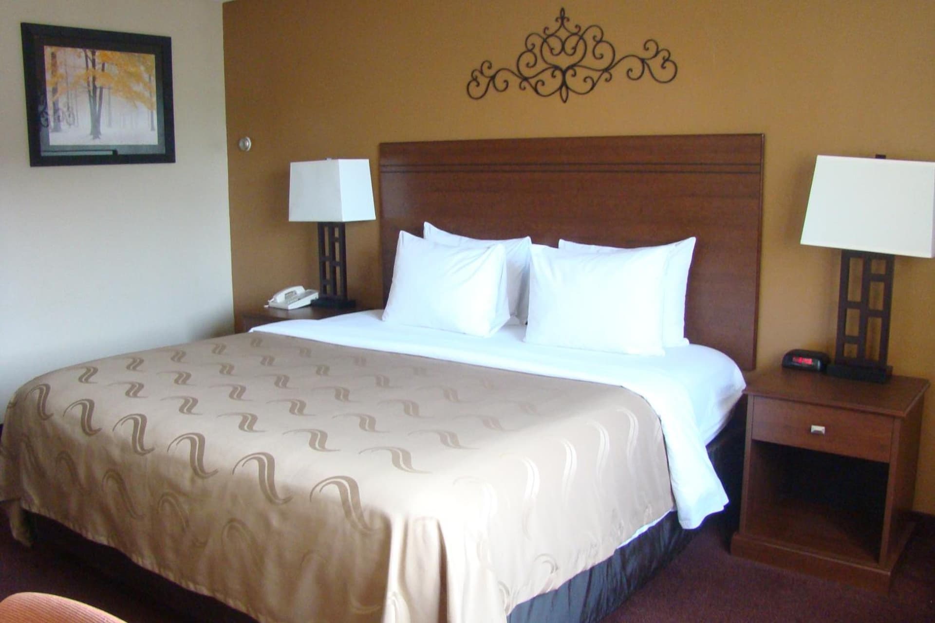 Quality Inn & Suites Green Bay Downtown gallery photo in Green Bay, WI — image 11