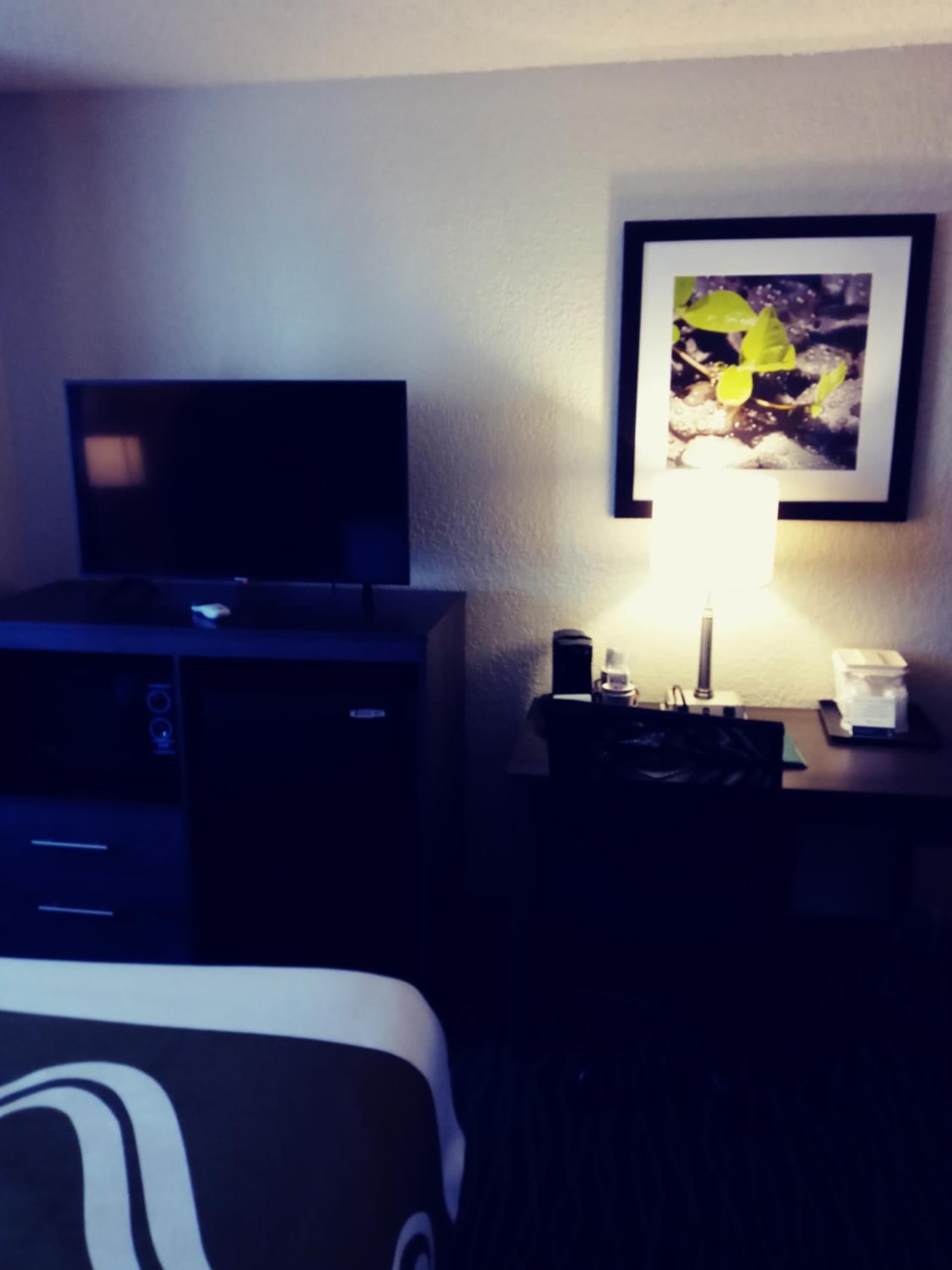 Quality Inn & Suites Leesburg Chain of Lakes gallery photo in Leesburg, FL — image 8