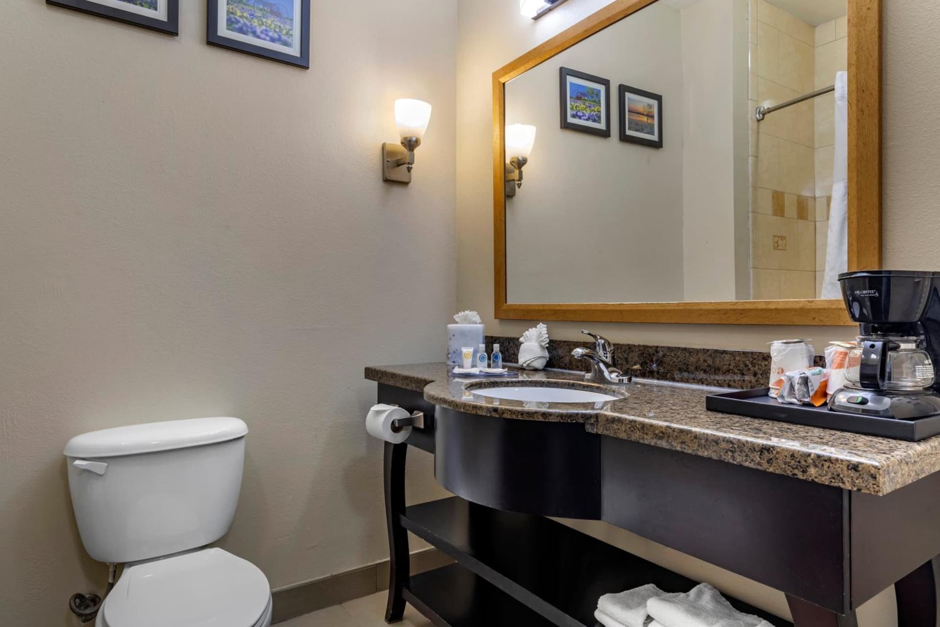 Comfort Inn & Suites Fort Worth West I-30 NAS JRB gallery photo in Fort Worth, TX — image 32