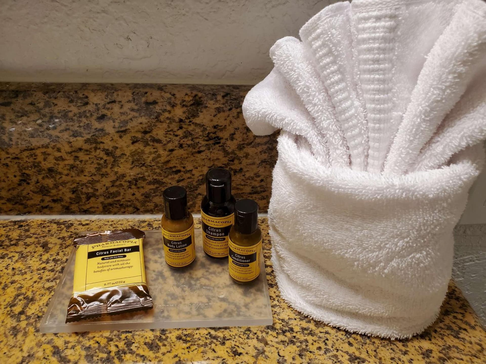 Best Western Plus Milwaukee Airport Hotel & Conference Center gallery photo in Milwaukee, WI — image 21