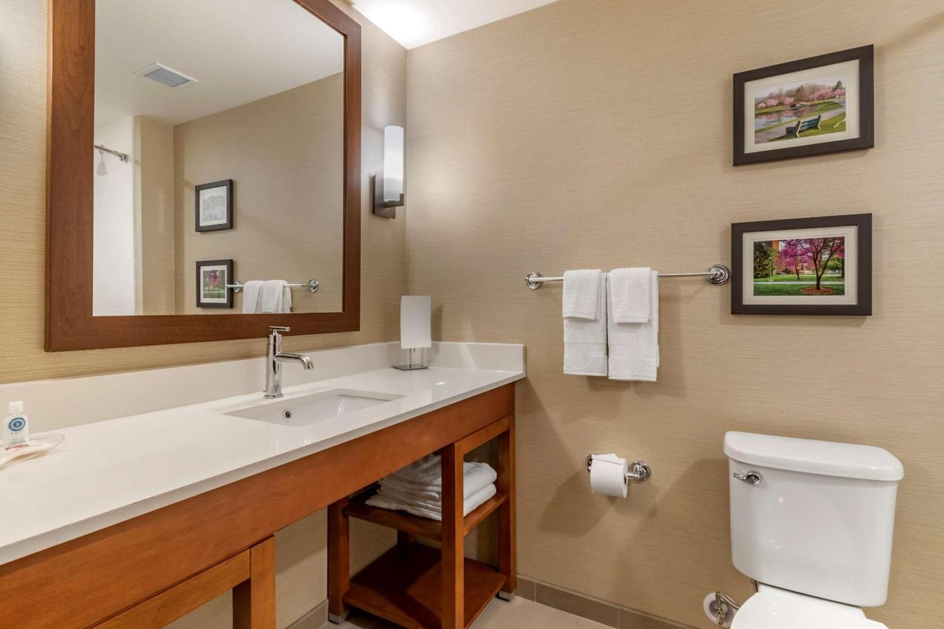 Comfort Suites Camp Hill-Harrisburg West gallery photo in Harrisburg, PA — image 20