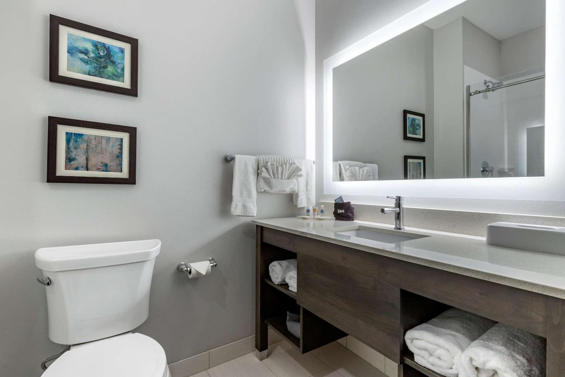 Comfort Suites Greenville Airport gallery photo in Greenville, SC — image 13