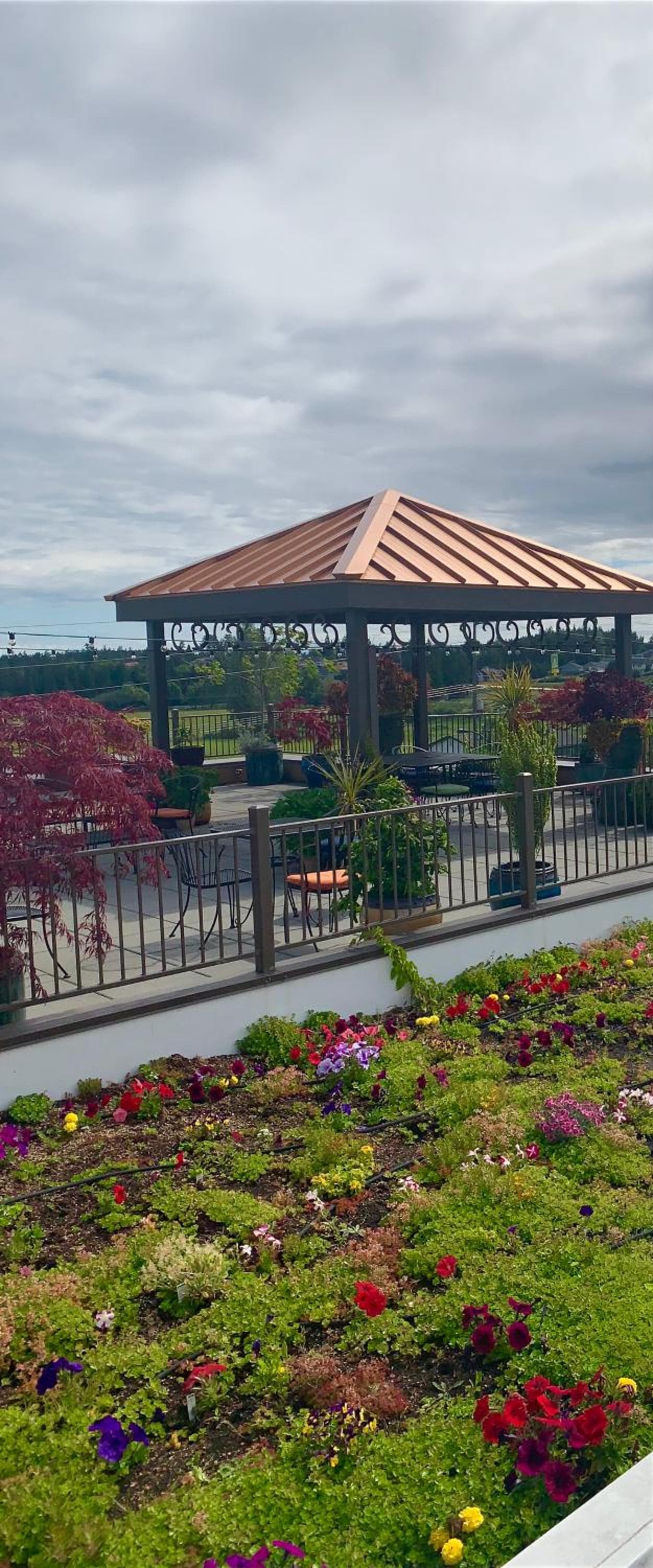 Holiday Inn Express Hotel & Suites North Sequim by IHG gallery photo in Sequim, WA — image 48