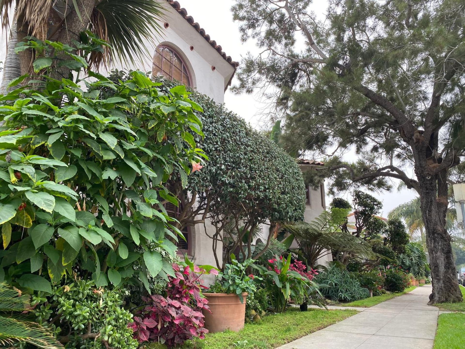 Villa Rosa Inn gallery photo in Santa Barbara, CA — image 30