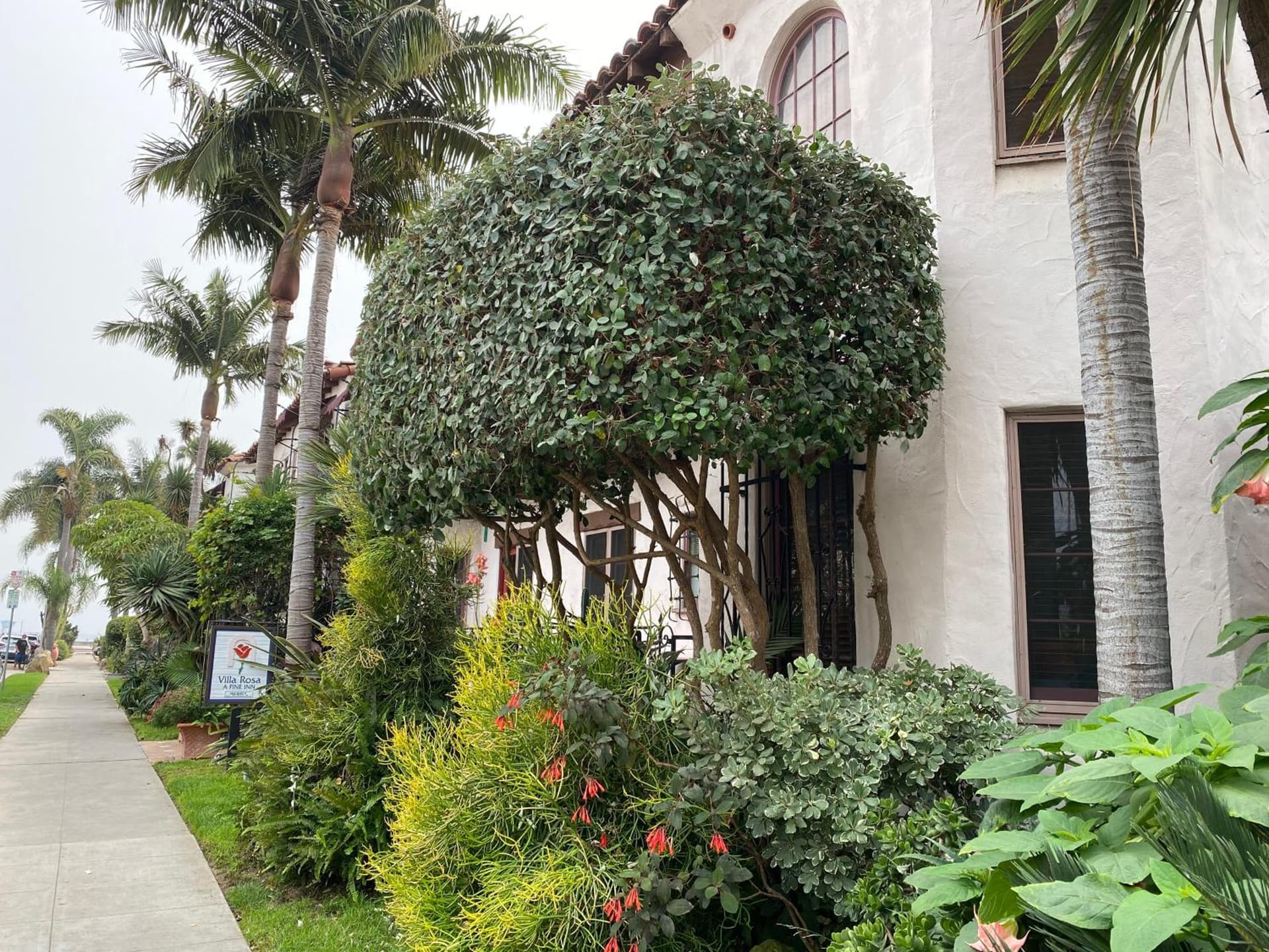 Villa Rosa Inn gallery photo in Santa Barbara, CA — image 107