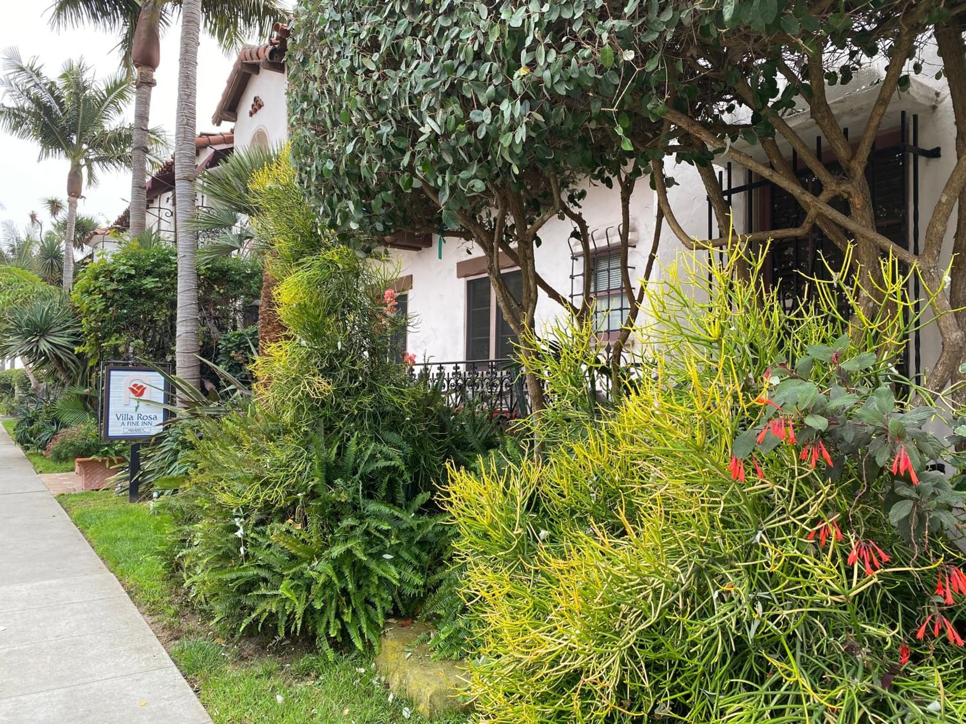 Villa Rosa Inn gallery photo in Santa Barbara, CA — image 35