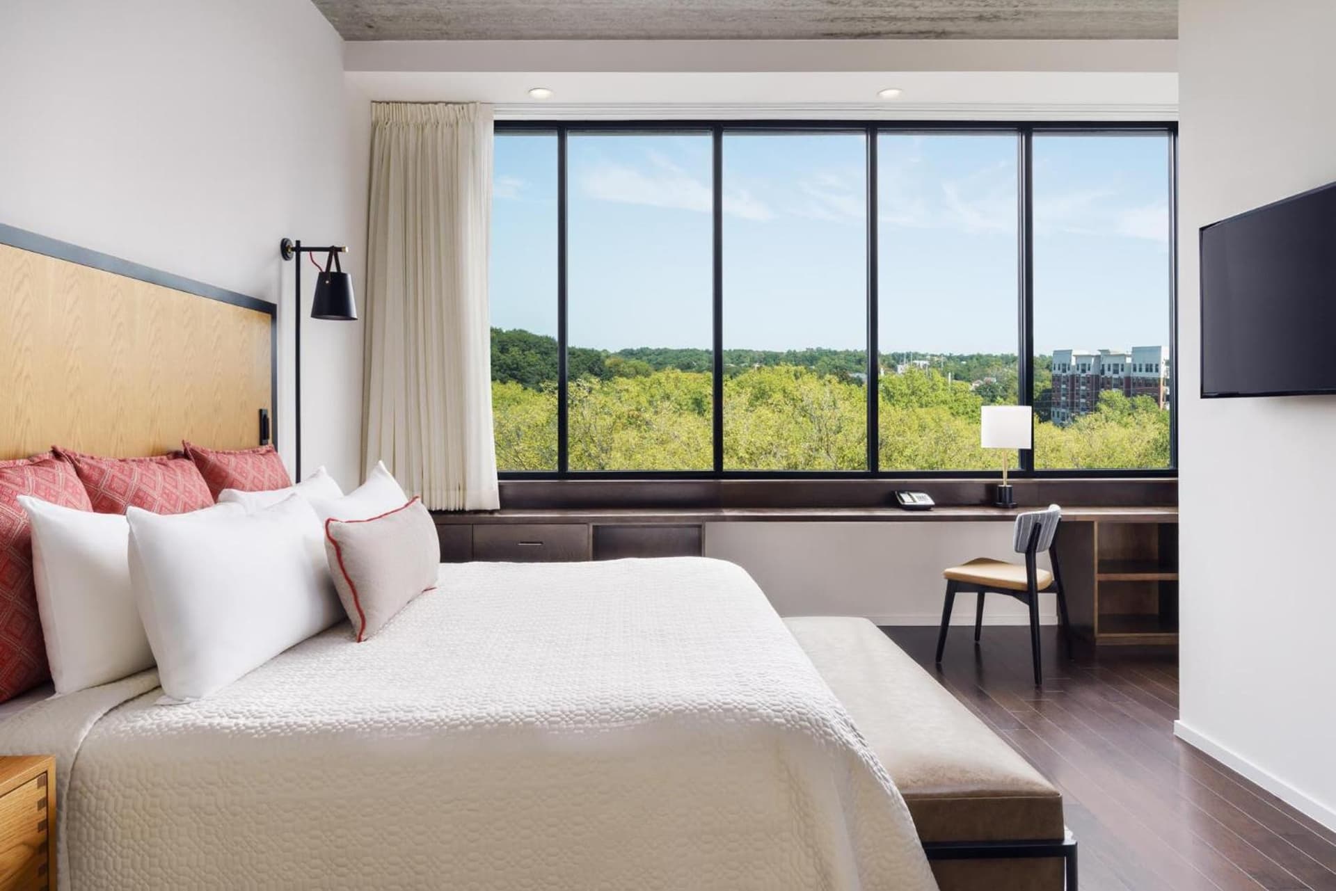 Hotel Indigo Athens - University Area by IHG gallery photo in Athens, GA — image 33