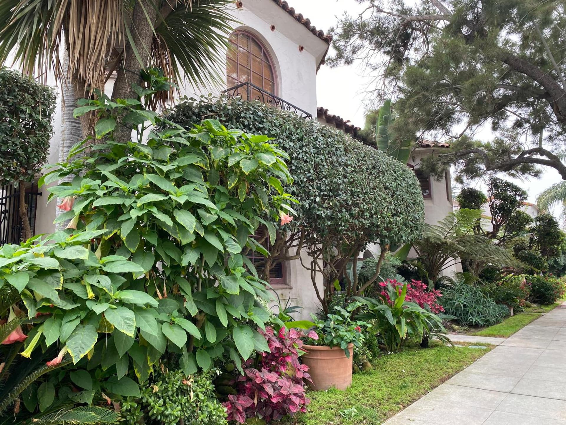 Villa Rosa Inn featured exterior or lobby in Santa Barbara, CA — similar hotel