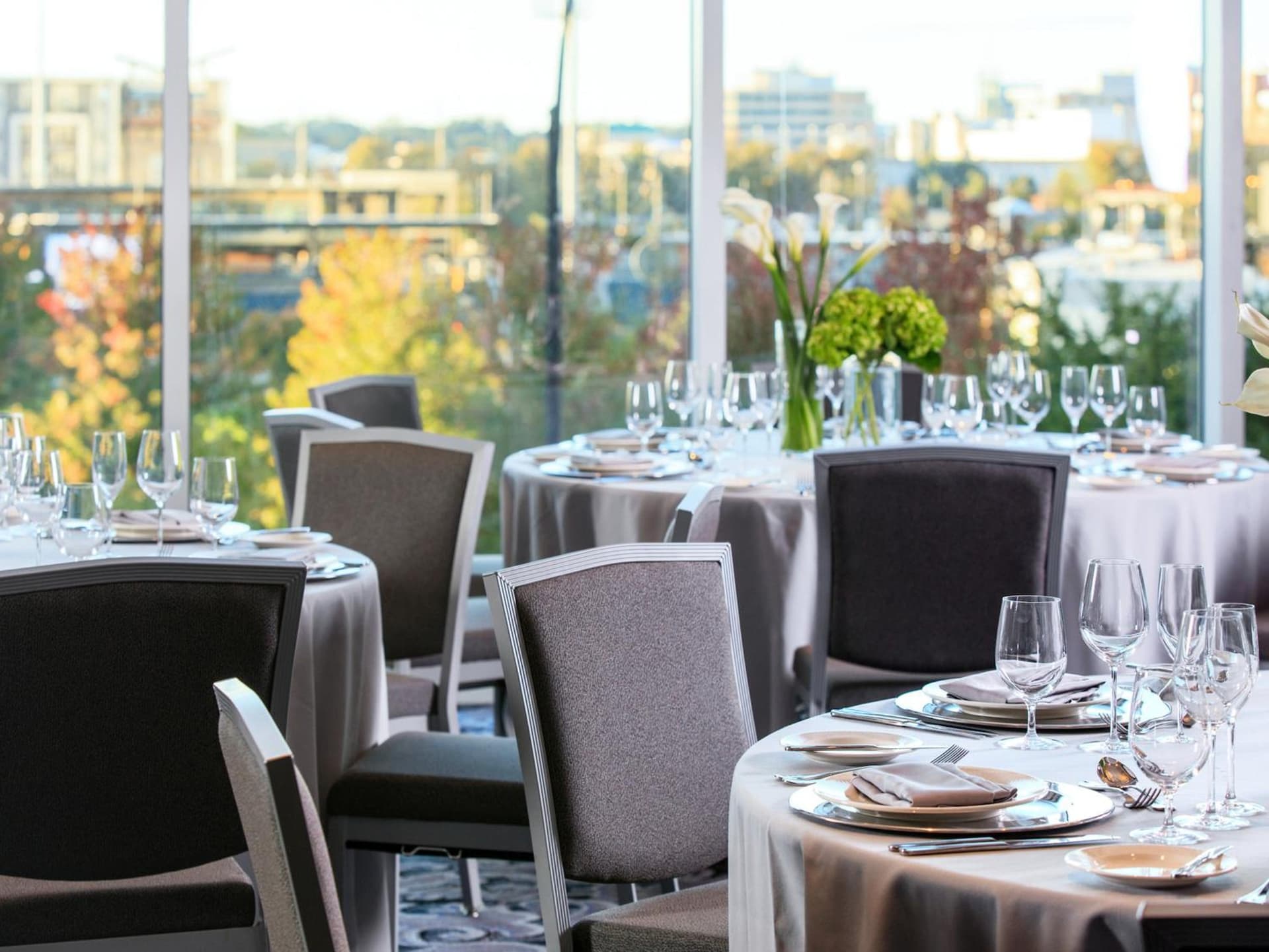 Kimpton Tryon Park Hotel by IHG gallery photo in Charlotte, NC — image 97