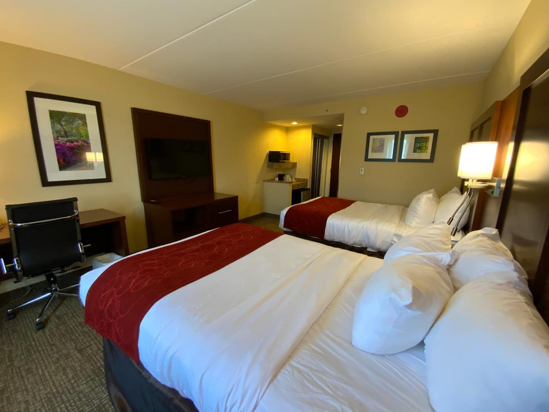 Comfort Suites Fredericksburg North gallery photo in Fredericksburg, VA — image 41