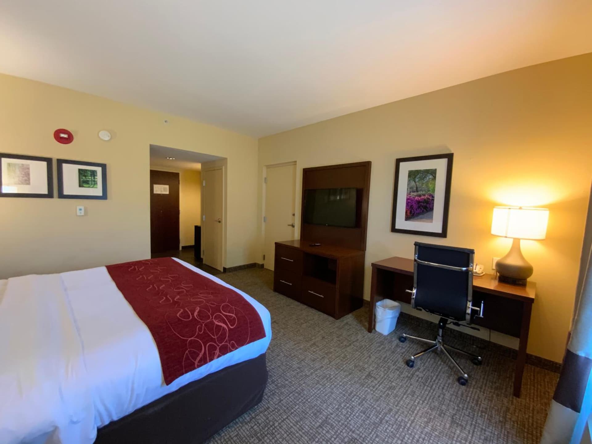 Comfort Suites Fredericksburg North gallery photo in Fredericksburg, VA — image 12