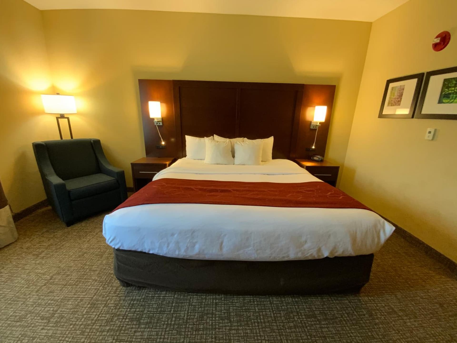 Comfort Suites Fredericksburg North gallery photo in Fredericksburg, VA — image 59