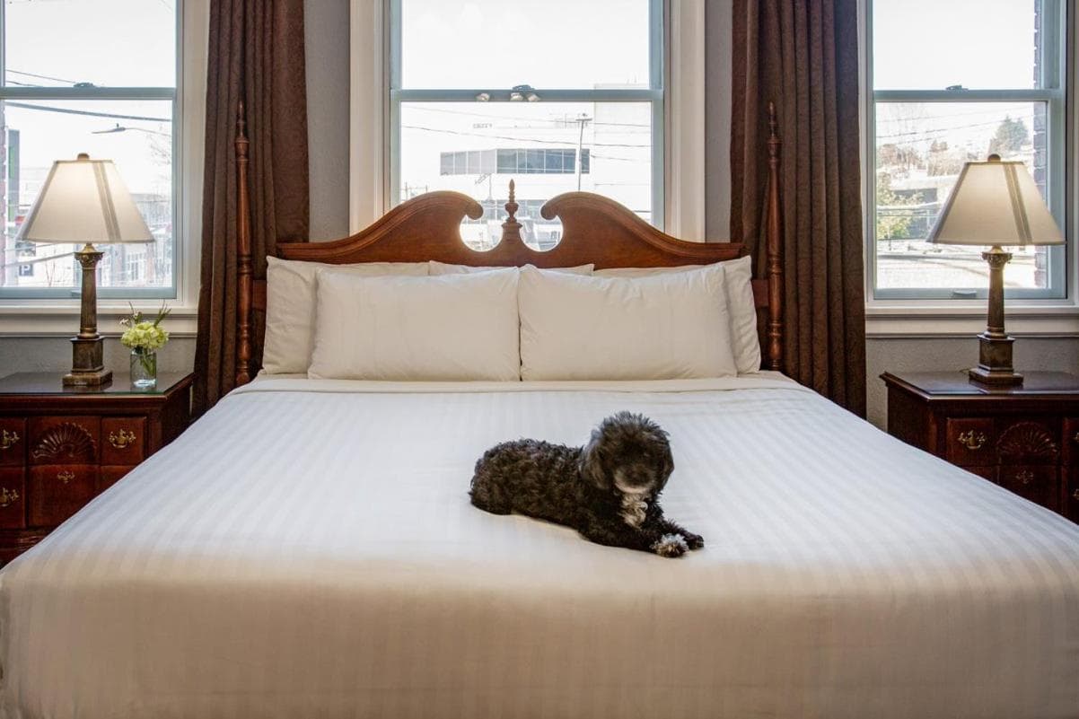 MarQueen Hotel - NEWLY RENOVATED gallery photo in Seattle, WA — image 14