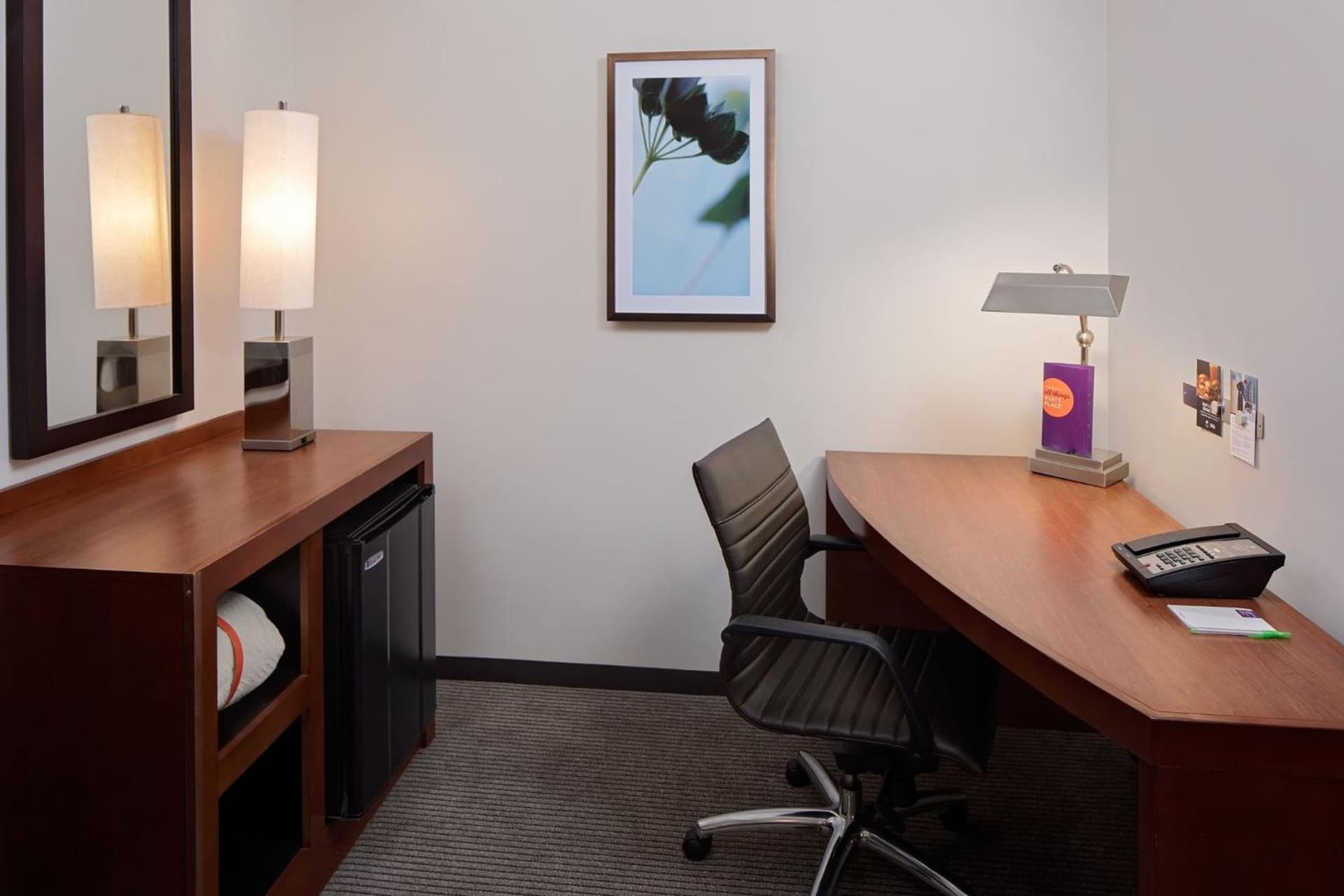 Hyatt Place Pittsburgh North Shore interior in Pittsburgh, PA — gallery photo 2