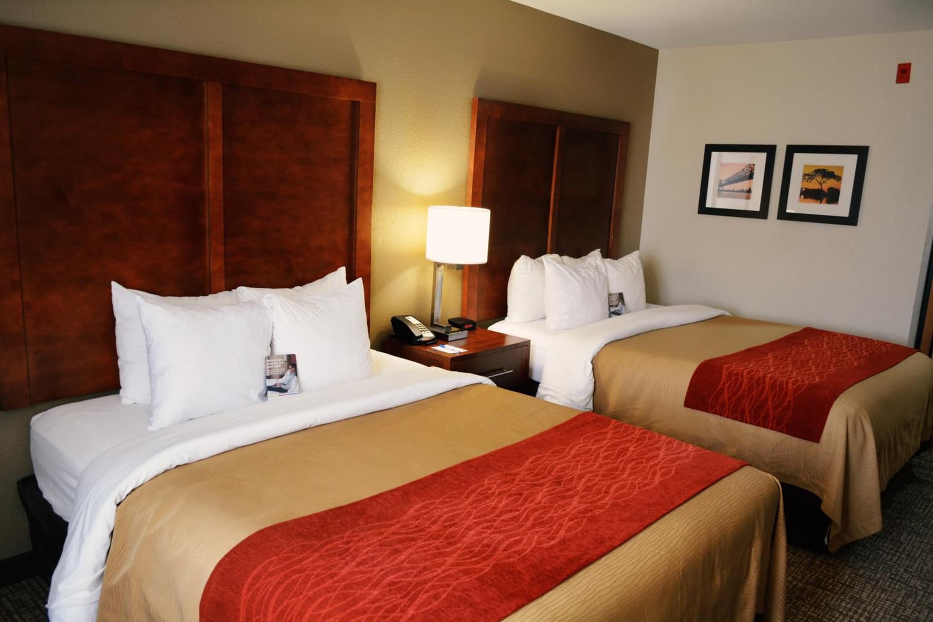 Comfort Inn & Suites Covington - Mandeville gallery photo in Covington, LA — image 43