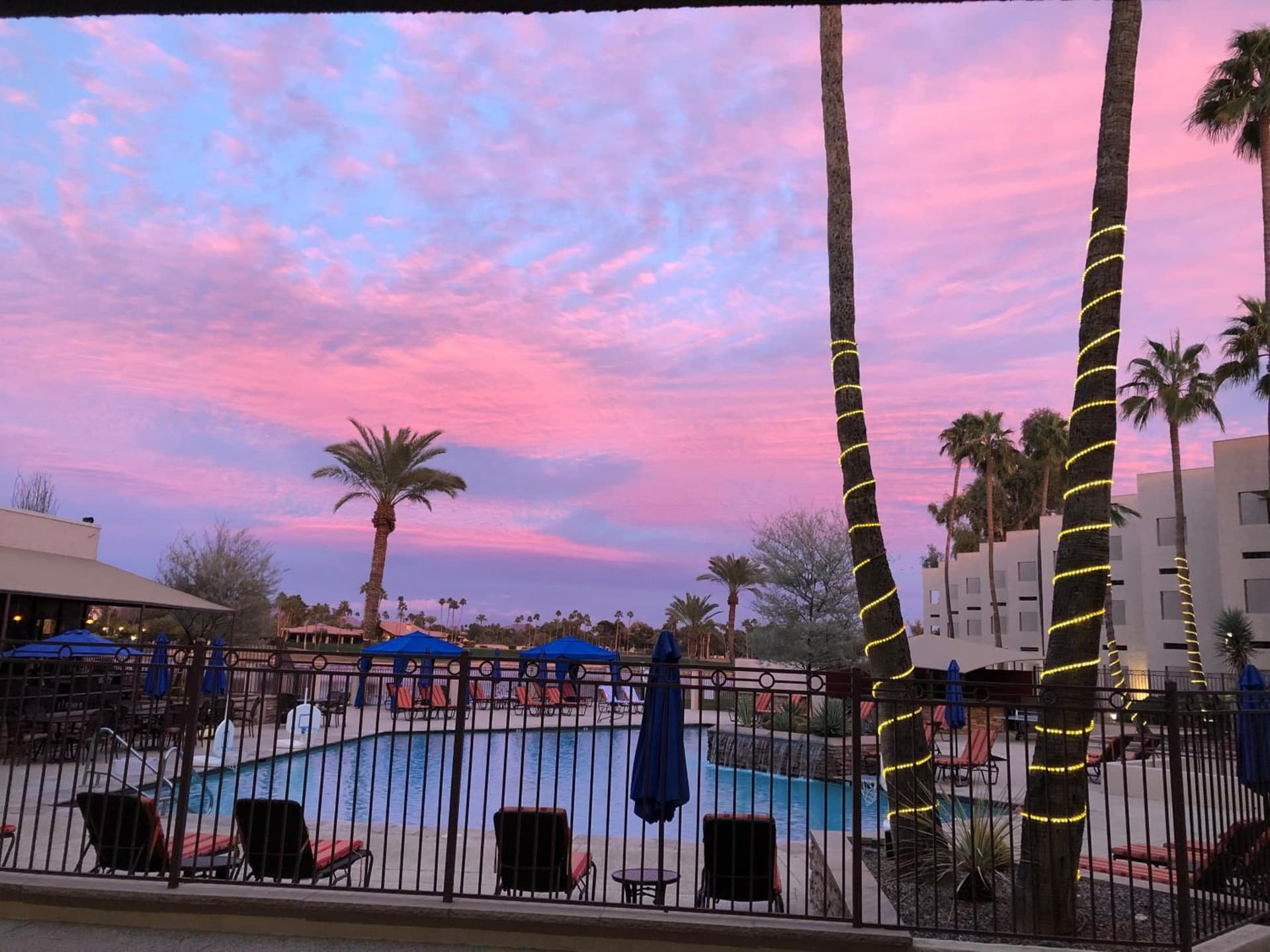 The McCormick Scottsdale gallery photo in Scottsdale, AZ — image 18
