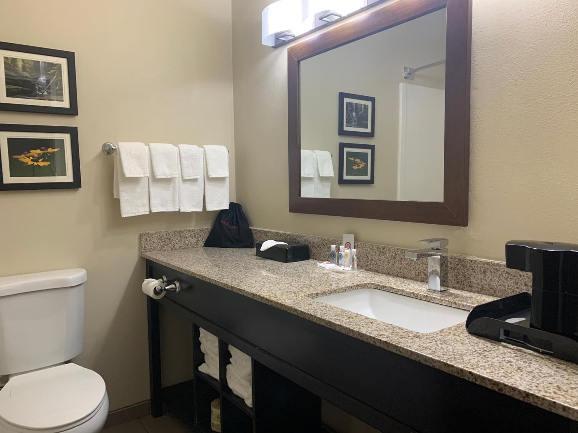 Comfort Suites Peoria I-74 gallery photo in Peoria, IL — image 20