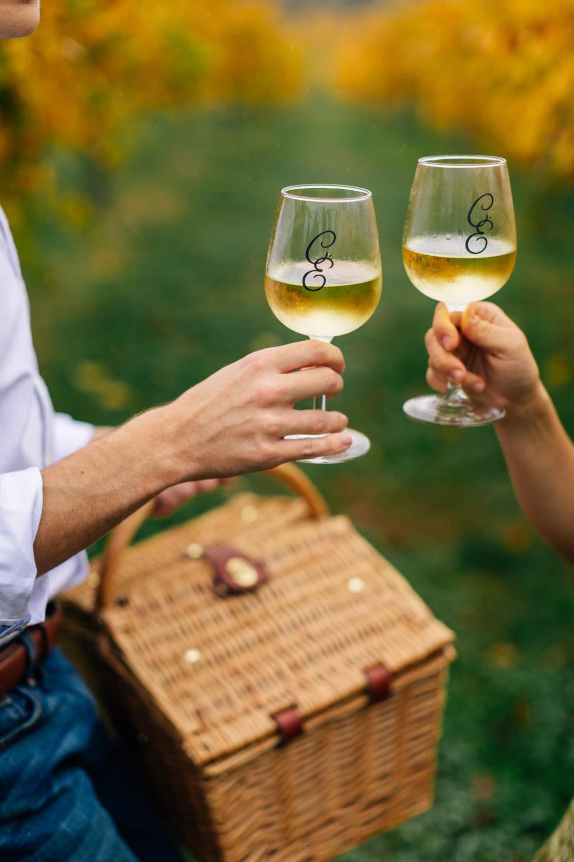 Chateau Elan Winery gallery photo in Braselton, GA — image 18