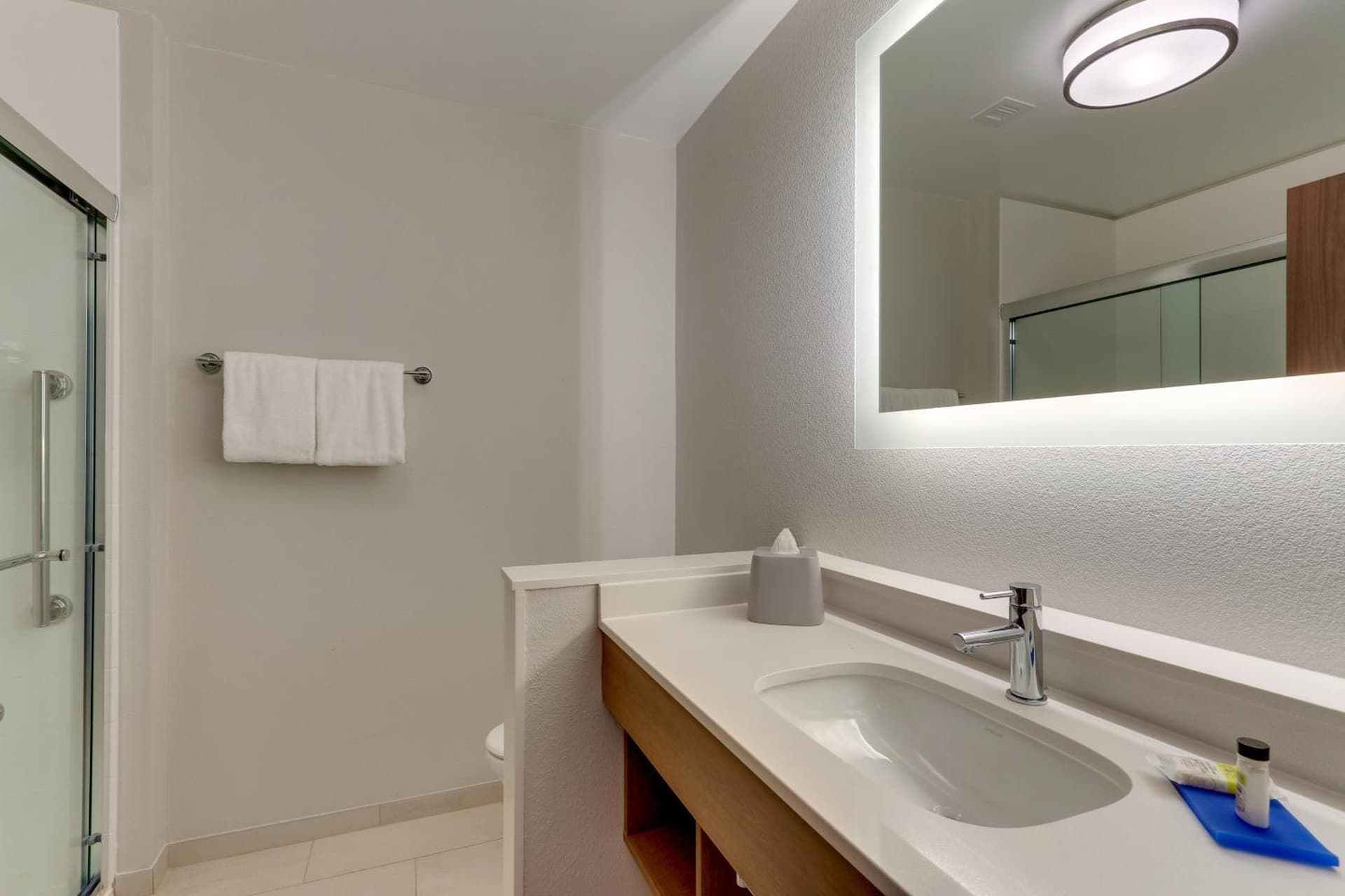 Holiday Inn Express & Suites - Roanoke – Civic Center gallery photo in Roanoke, VA — image 97