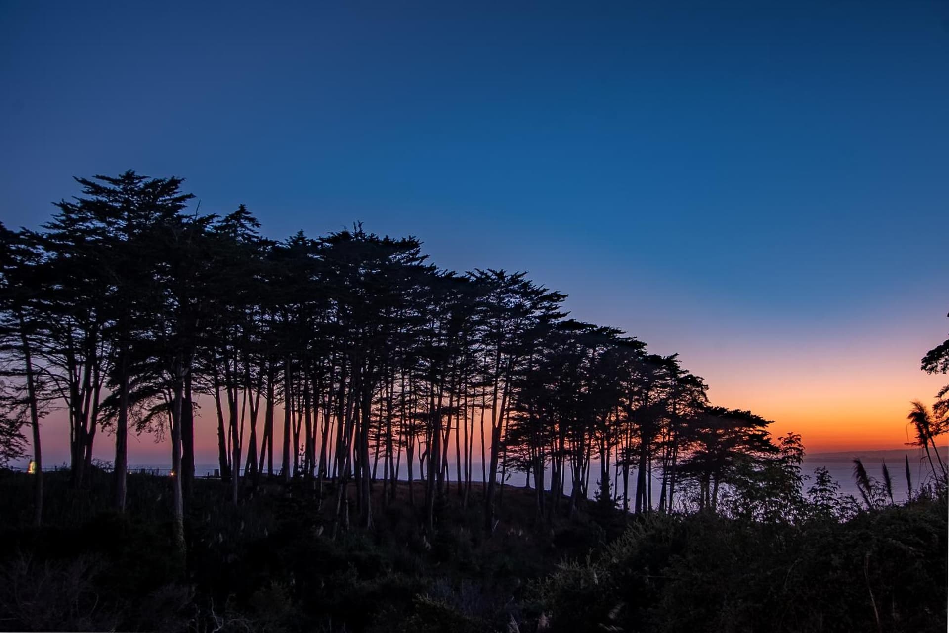 Seascape Beach Resort gallery photo in Aptos, CA — image 57
