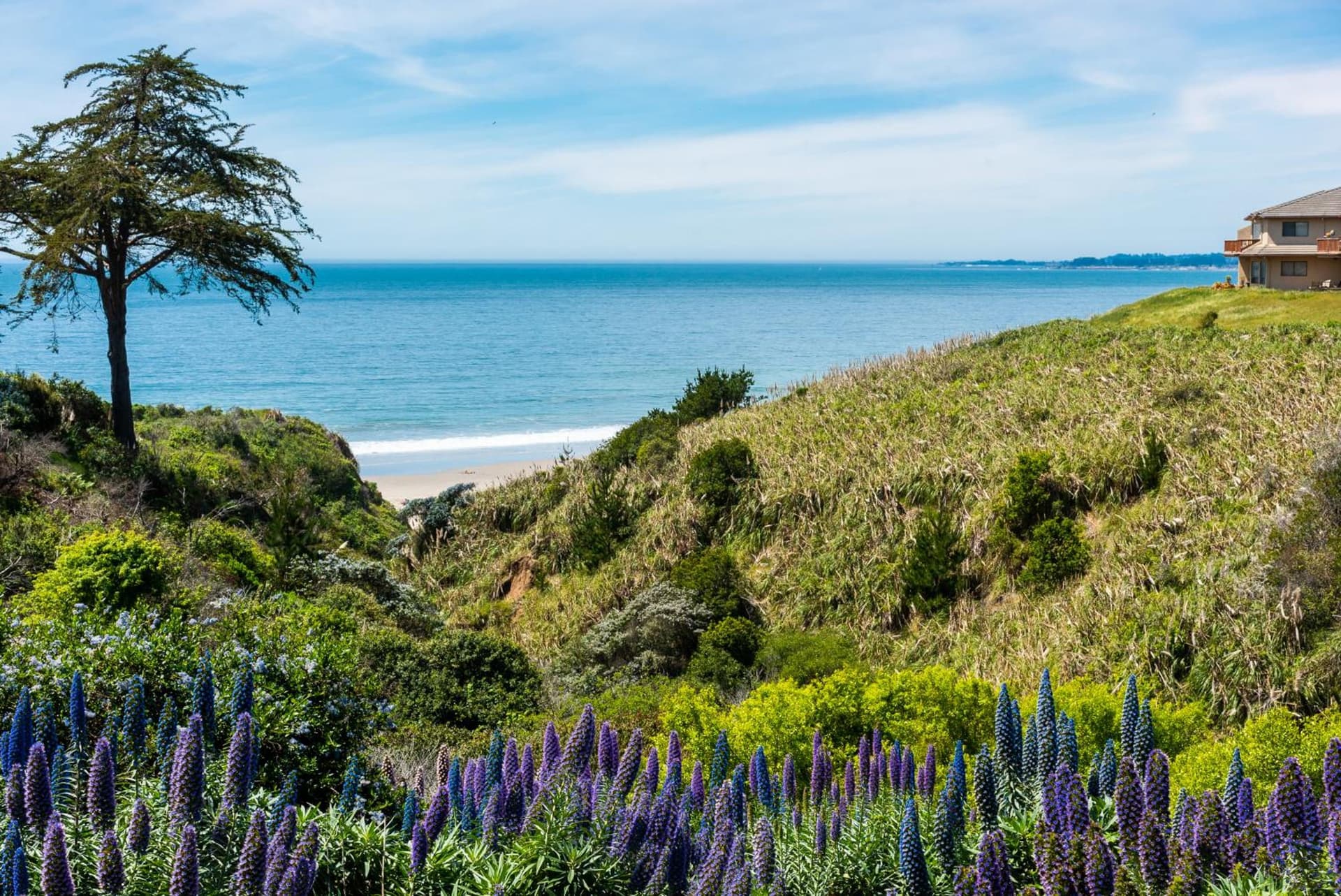 Seascape Beach Resort gallery photo in Aptos, CA — image 65