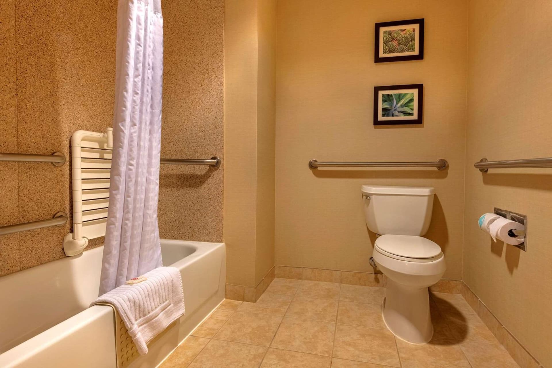 Comfort Suites Goodyear-West Phoenix gallery photo in Goodyear, AZ — image 6