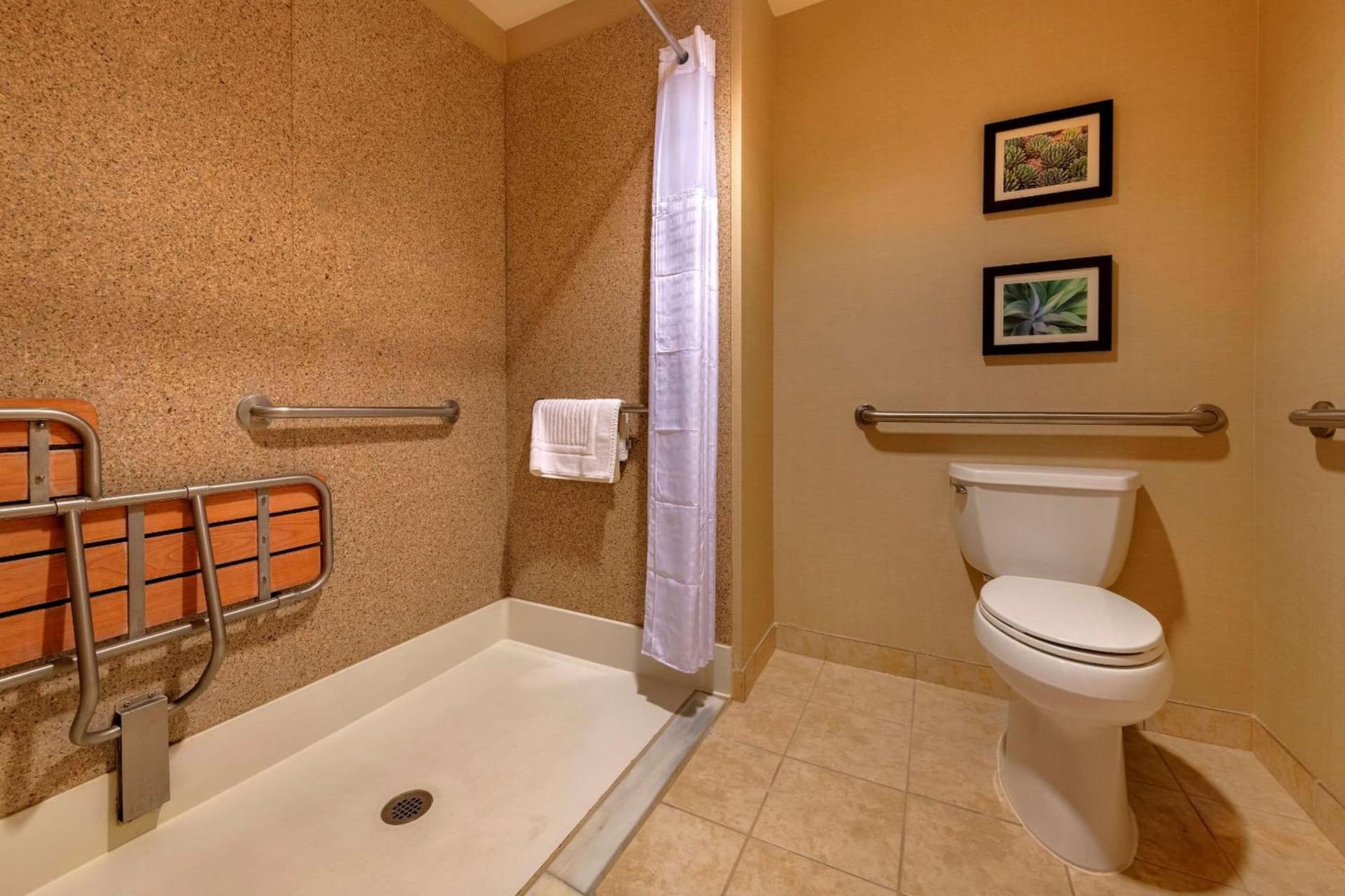 Comfort Suites Goodyear-West Phoenix gallery photo in Goodyear, AZ — image 38