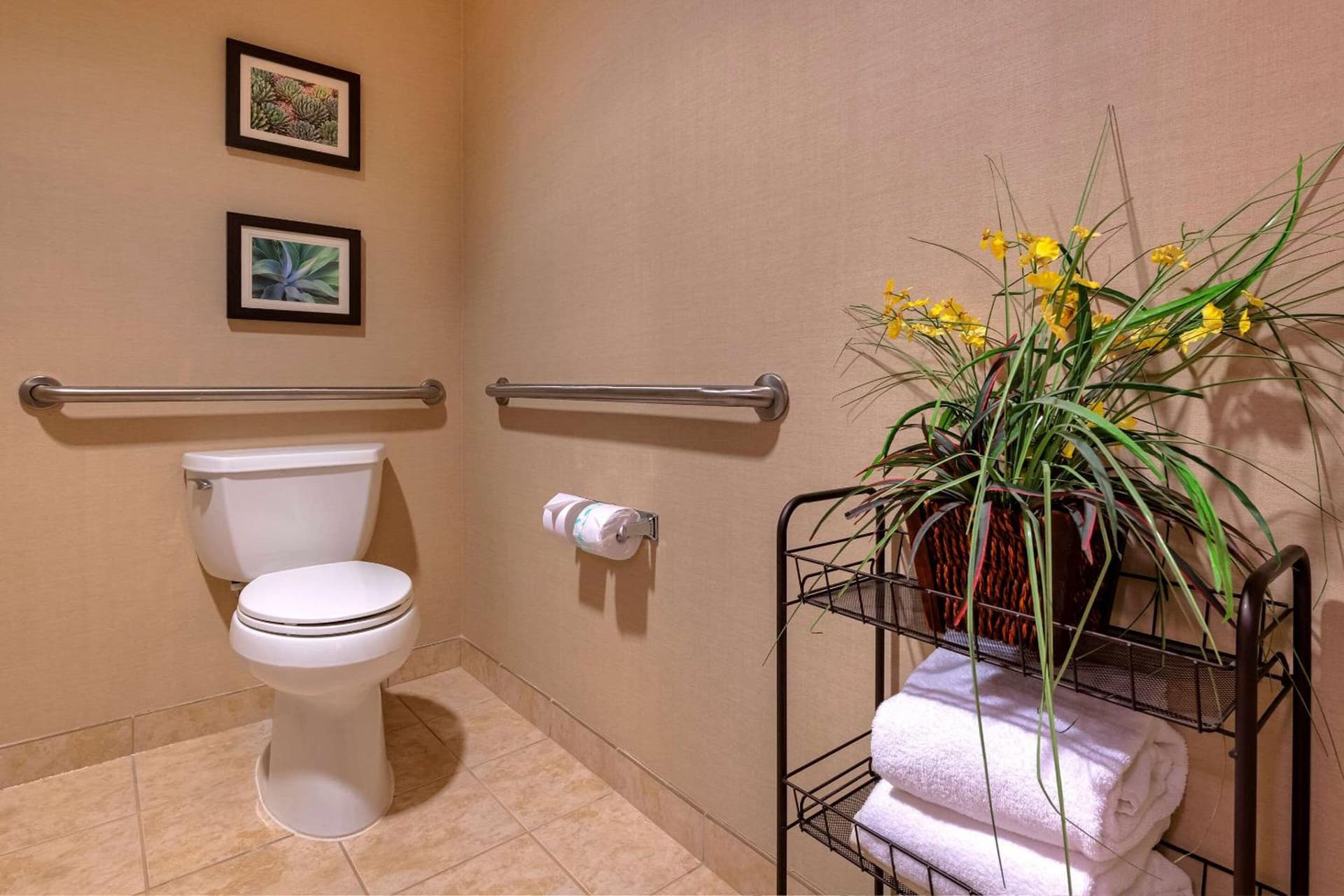 Comfort Suites Goodyear-West Phoenix gallery photo in Goodyear, AZ — image 36