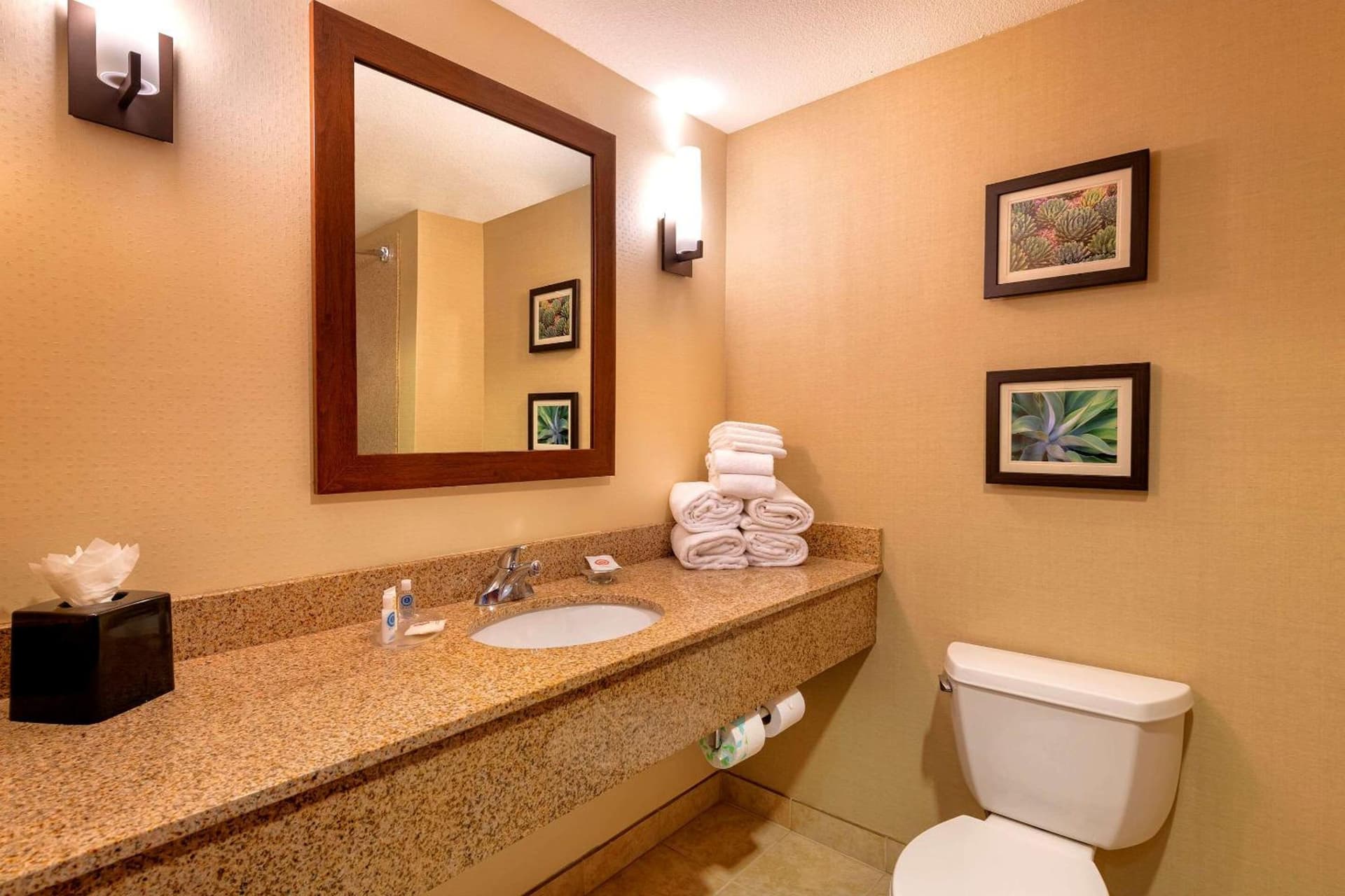 Comfort Suites Goodyear-West Phoenix gallery photo in Goodyear, AZ — image 39