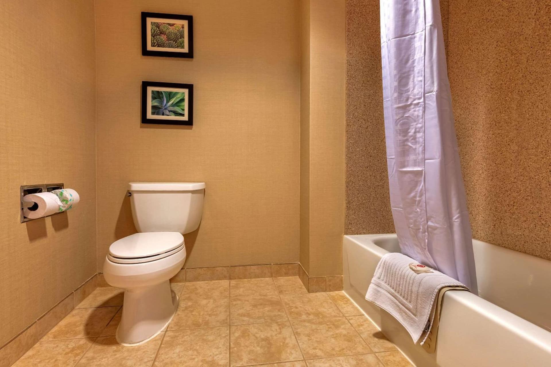 Comfort Suites Goodyear-West Phoenix gallery photo in Goodyear, AZ — image 63