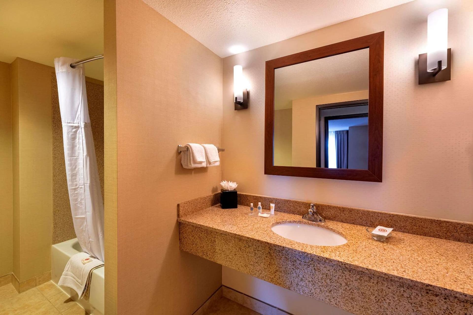 Comfort Suites Goodyear-West Phoenix gallery photo in Goodyear, AZ — image 26