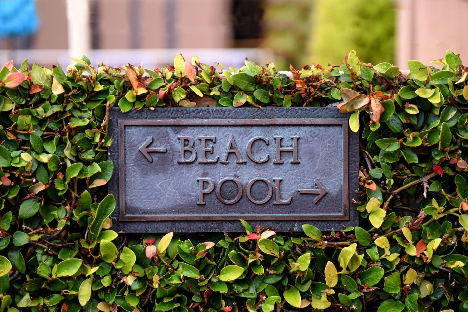 The Cliffs Hotel and Spa gallery photo in Pismo Beach, CA — image 16