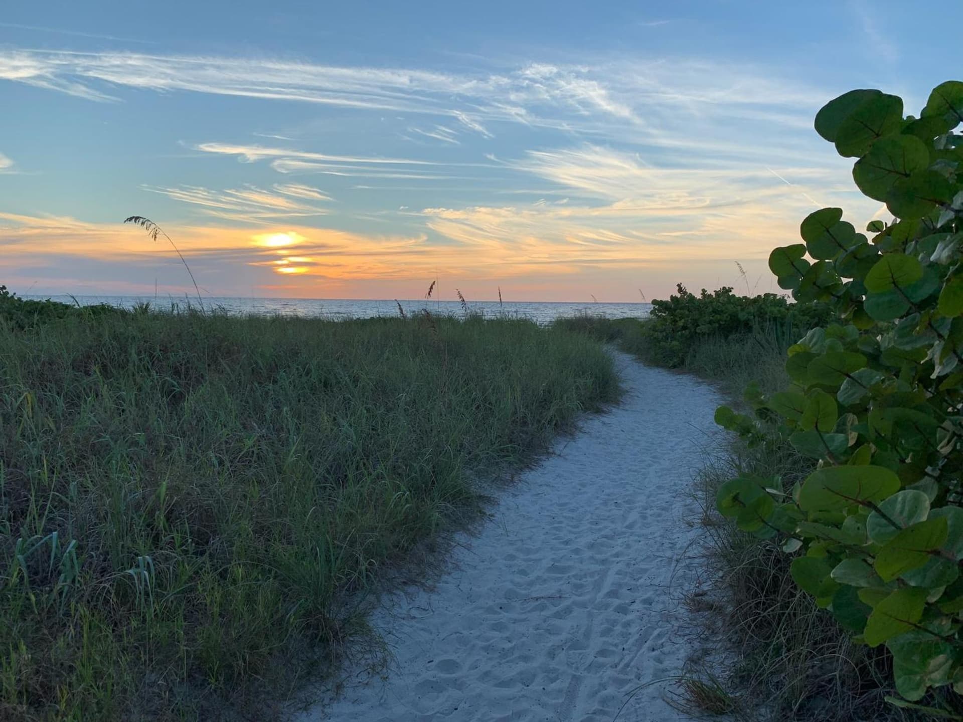 Twin Palms at Siesta gallery photo in Siesta Key, FL — image 15