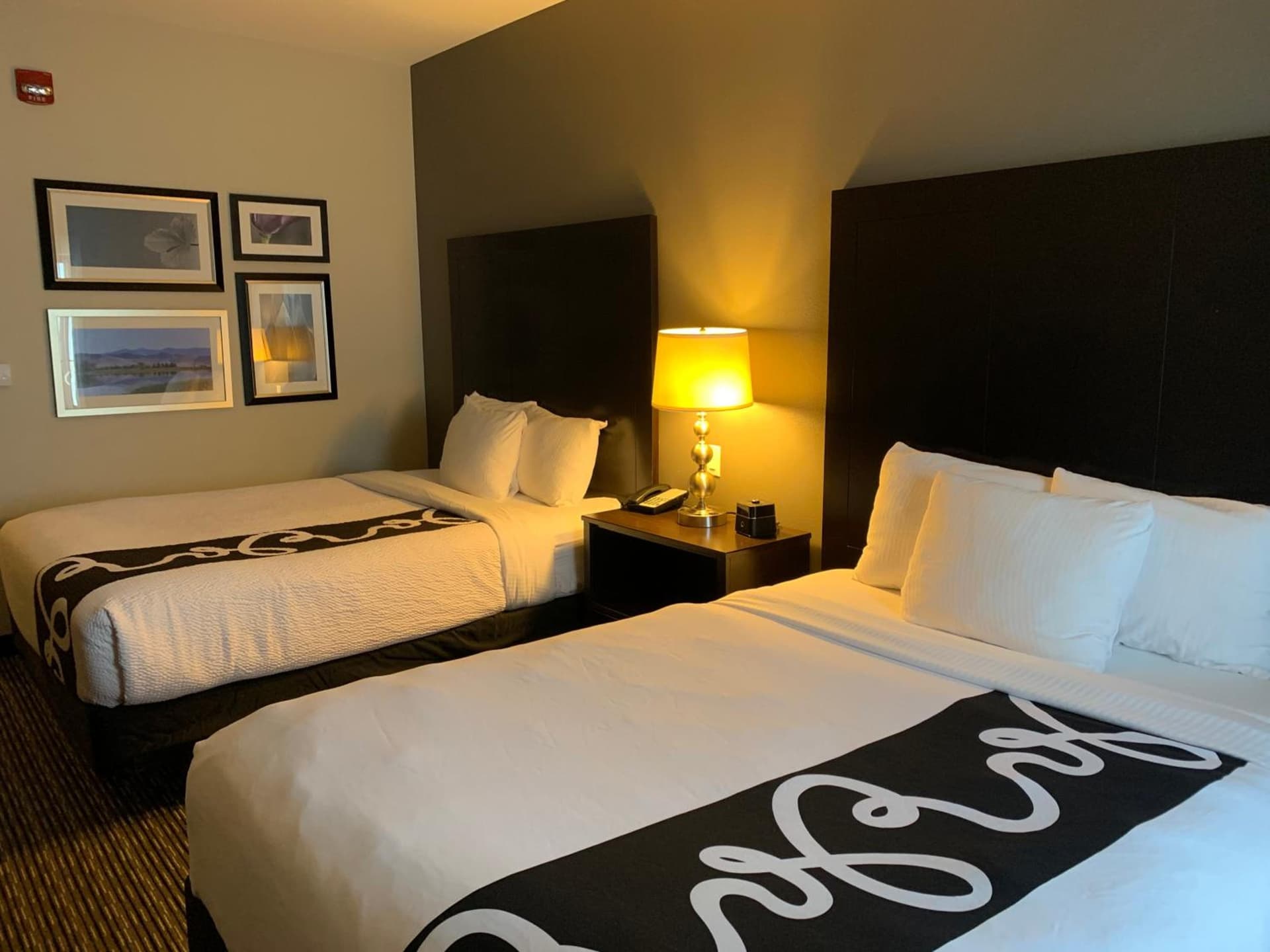 La Quinta by Wyndham Billings gallery photo in Billings, MT — image 39