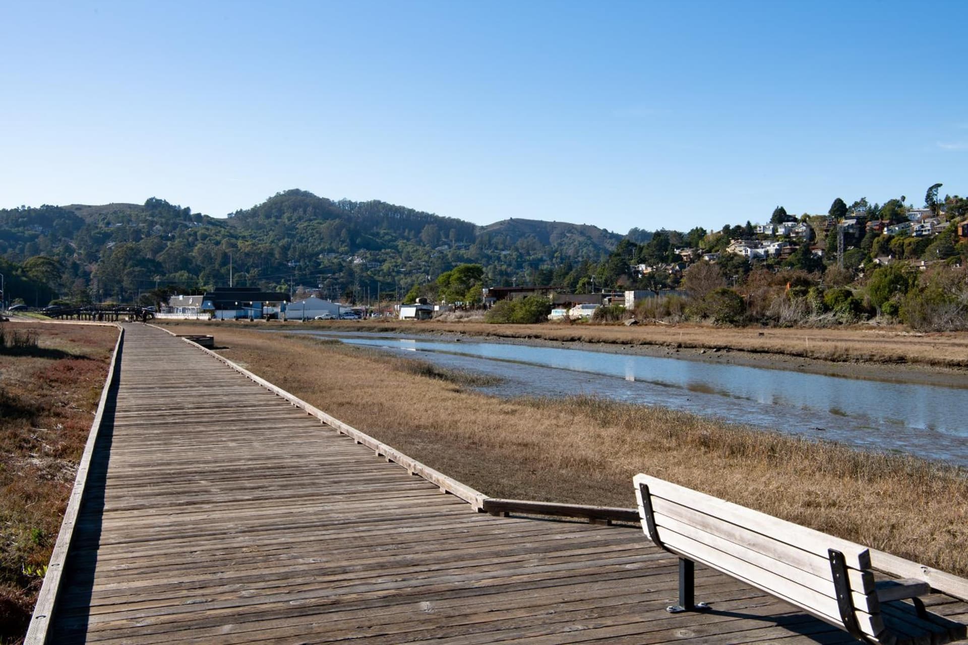 Holiday Inn Express Mill Valley San Francisco Area by IHG gallery photo in Mill Valley, CA — image 47