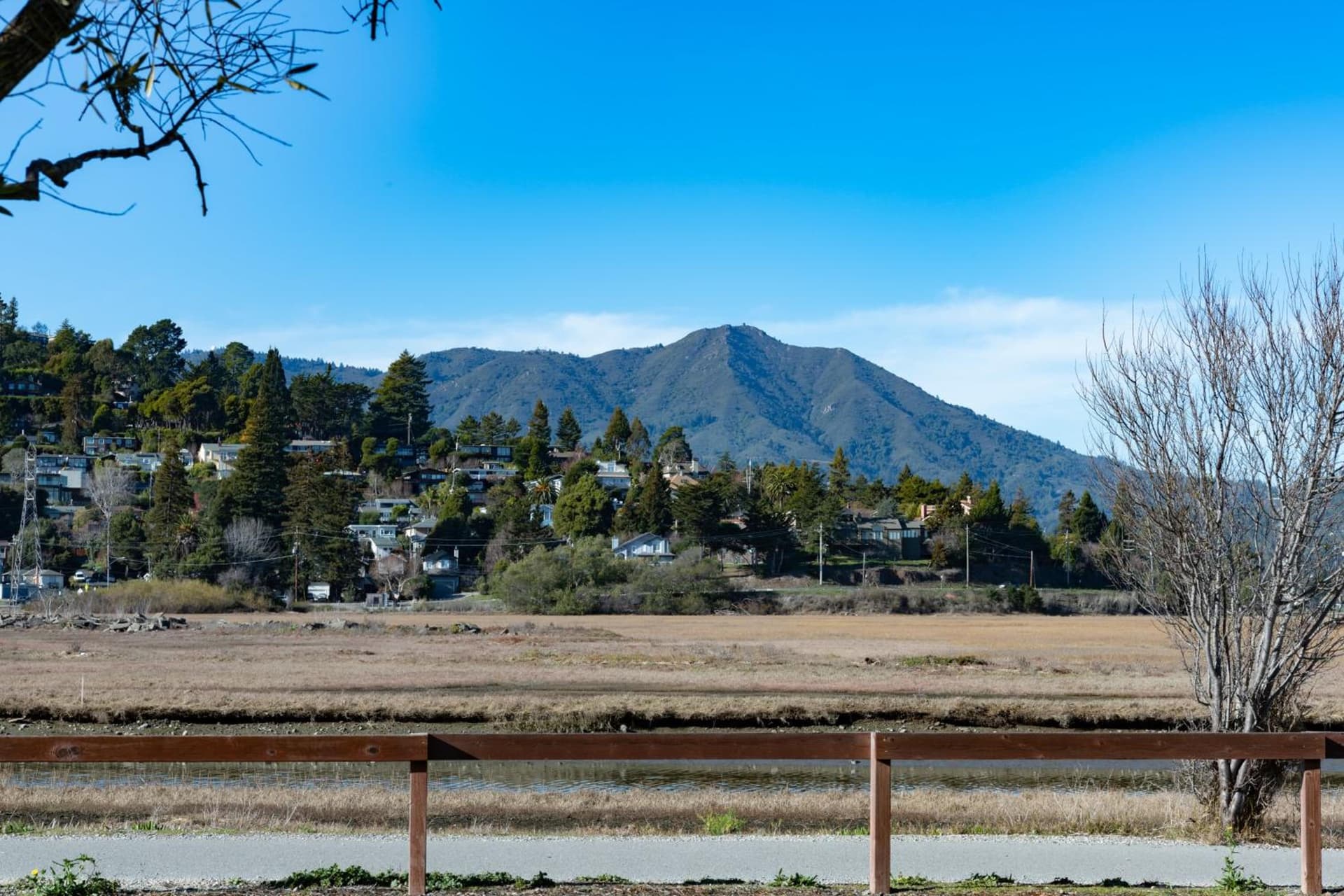 Holiday Inn Express Mill Valley San Francisco Area by IHG gallery photo in Mill Valley, CA — image 38