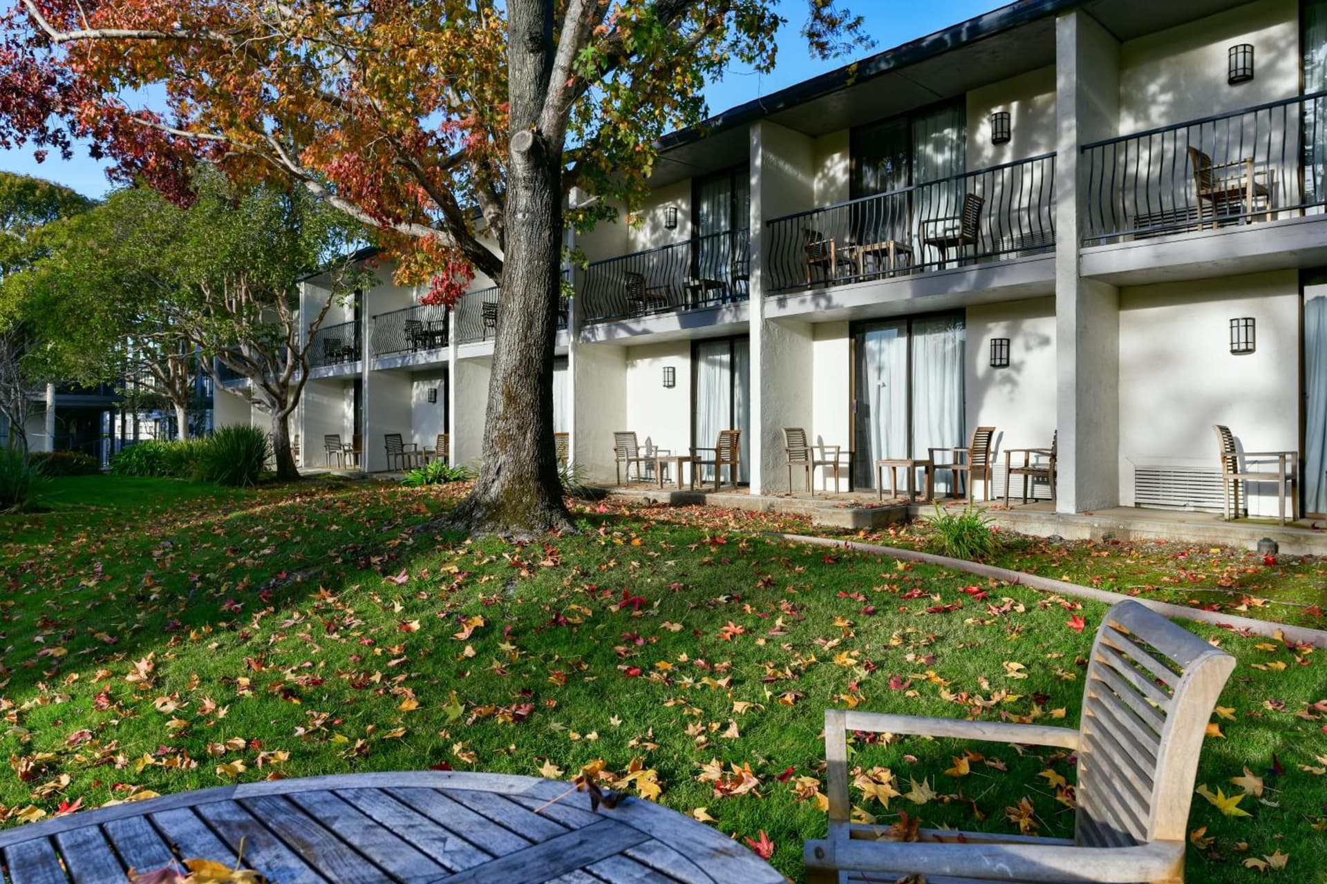 Holiday Inn Express Mill Valley San Francisco Area by IHG gallery photo in Mill Valley, CA — image 14