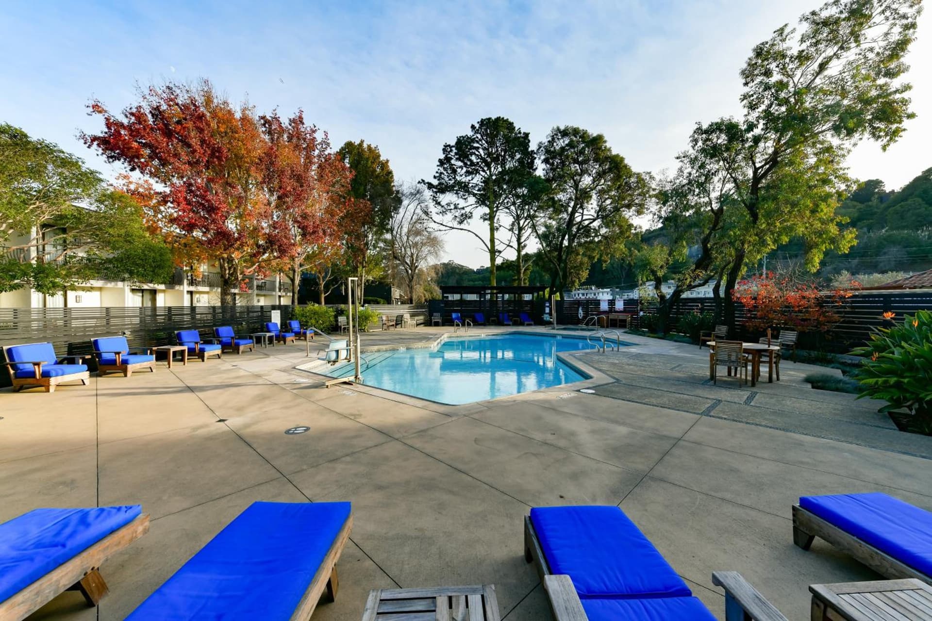 Holiday Inn Express Mill Valley San Francisco Area by IHG gallery photo in Mill Valley, CA — image 61