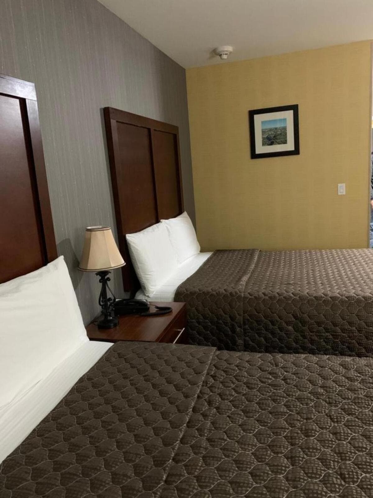 Hotel Pergola Jamaica JFK gallery photo in Queens, NY — image 8