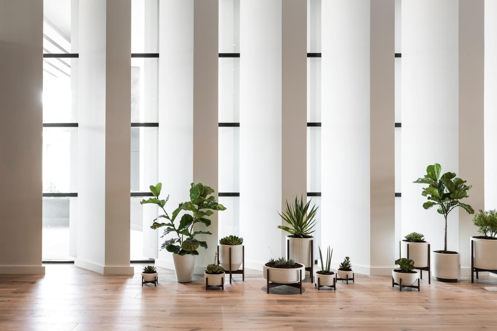 Kimpton Everly Hotel Hollywood by IHG gallery photo in Los Angeles, CA — image 22