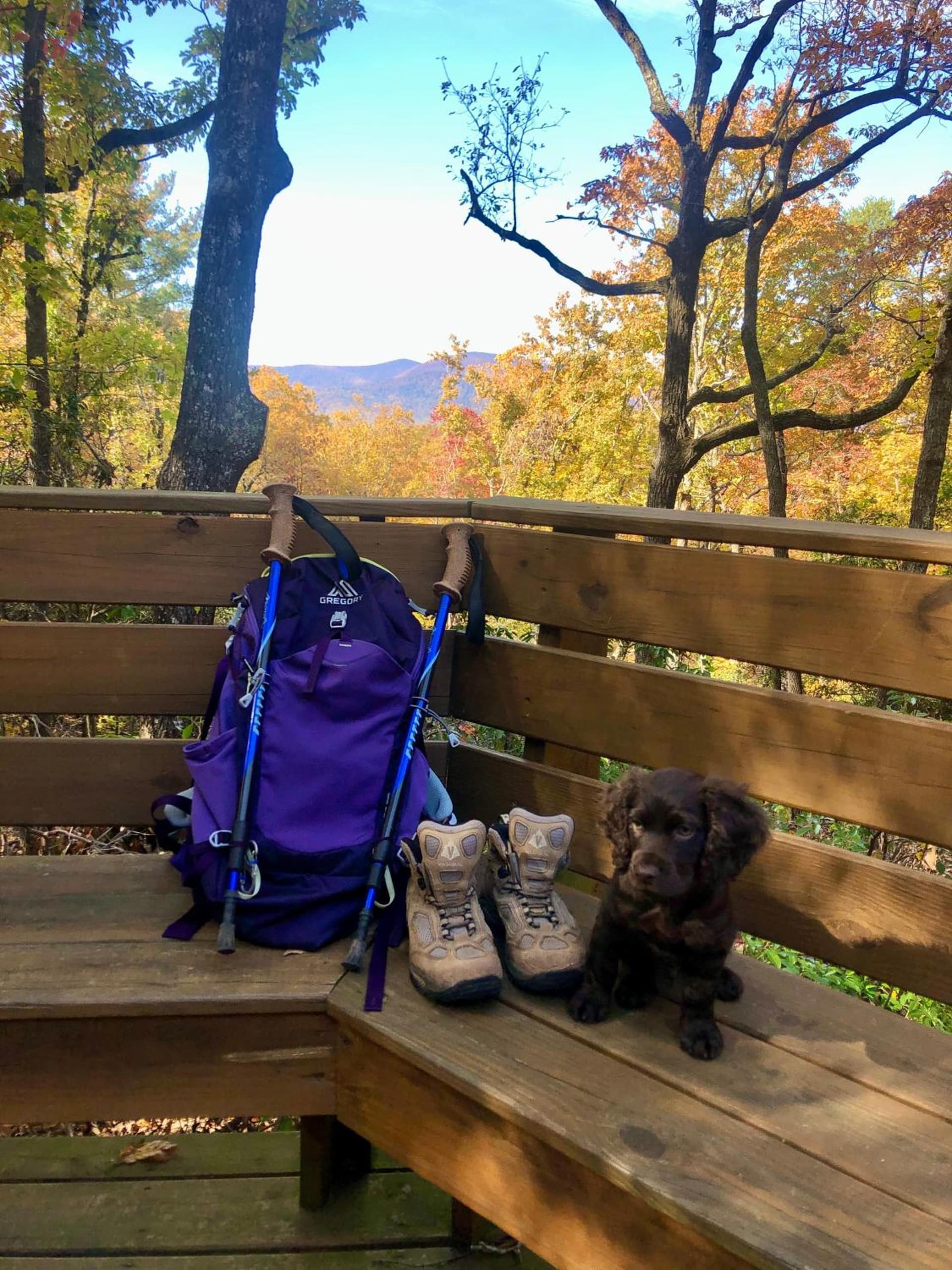 Barefoot Hills gallery photo in Dahlonega, GA — image 6